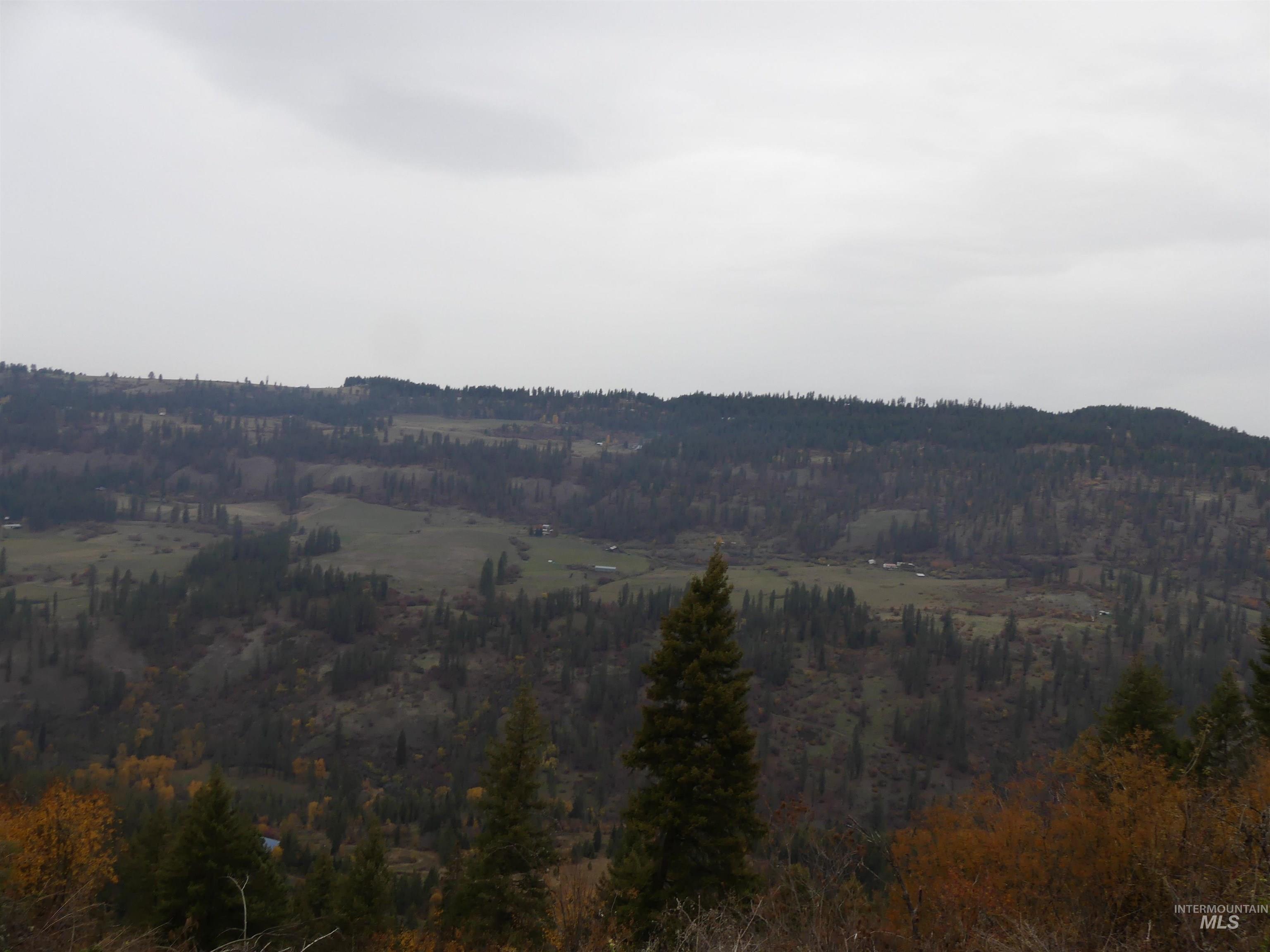 1762 Tranquil Lane (#4), Orofino, Idaho 83544, Land For Sale, Price $124,900, 98968003