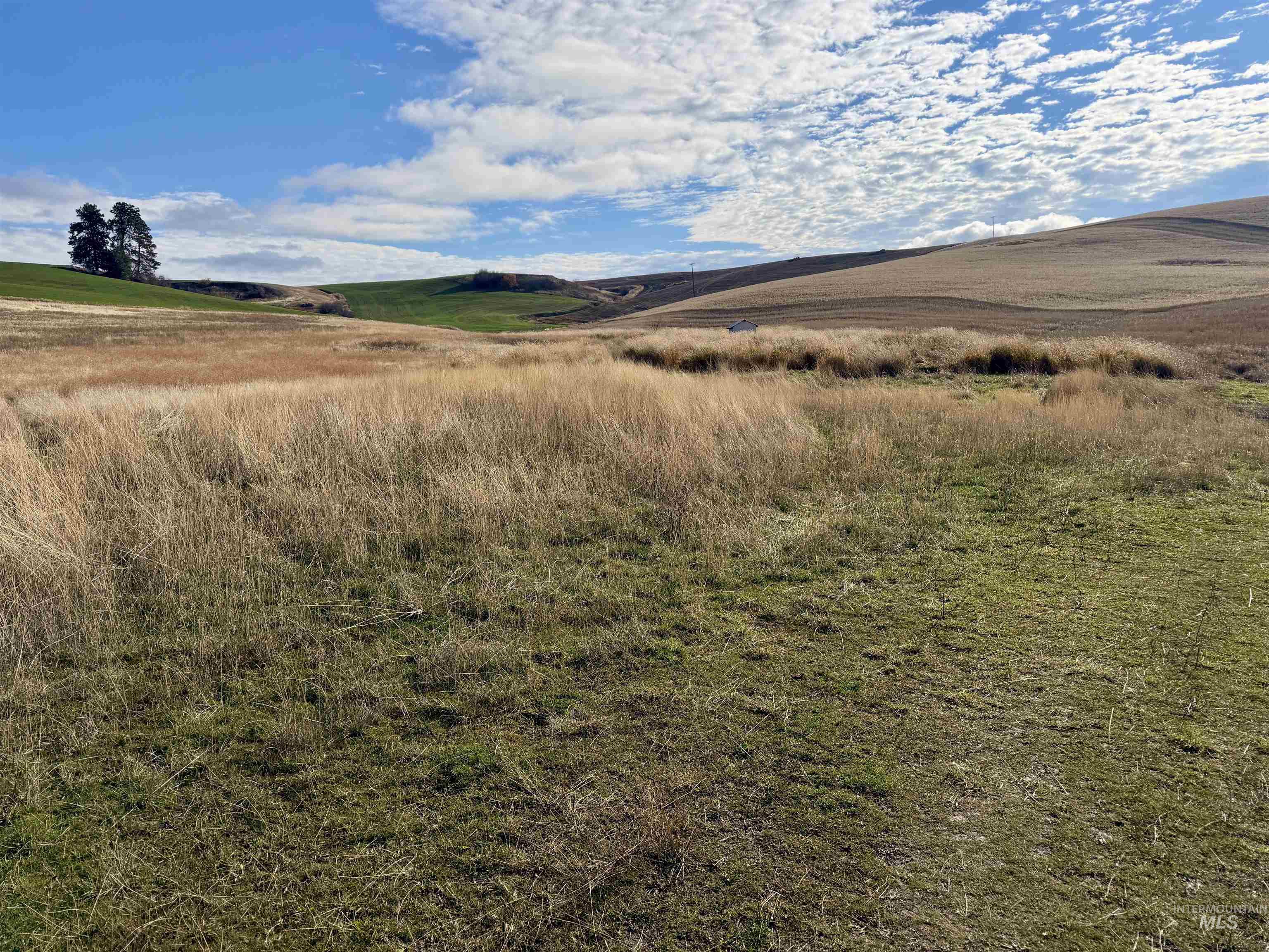 TBD North Road, Kendrick, Idaho 83537, Land For Sale, Price $630,000,MLS 98968062