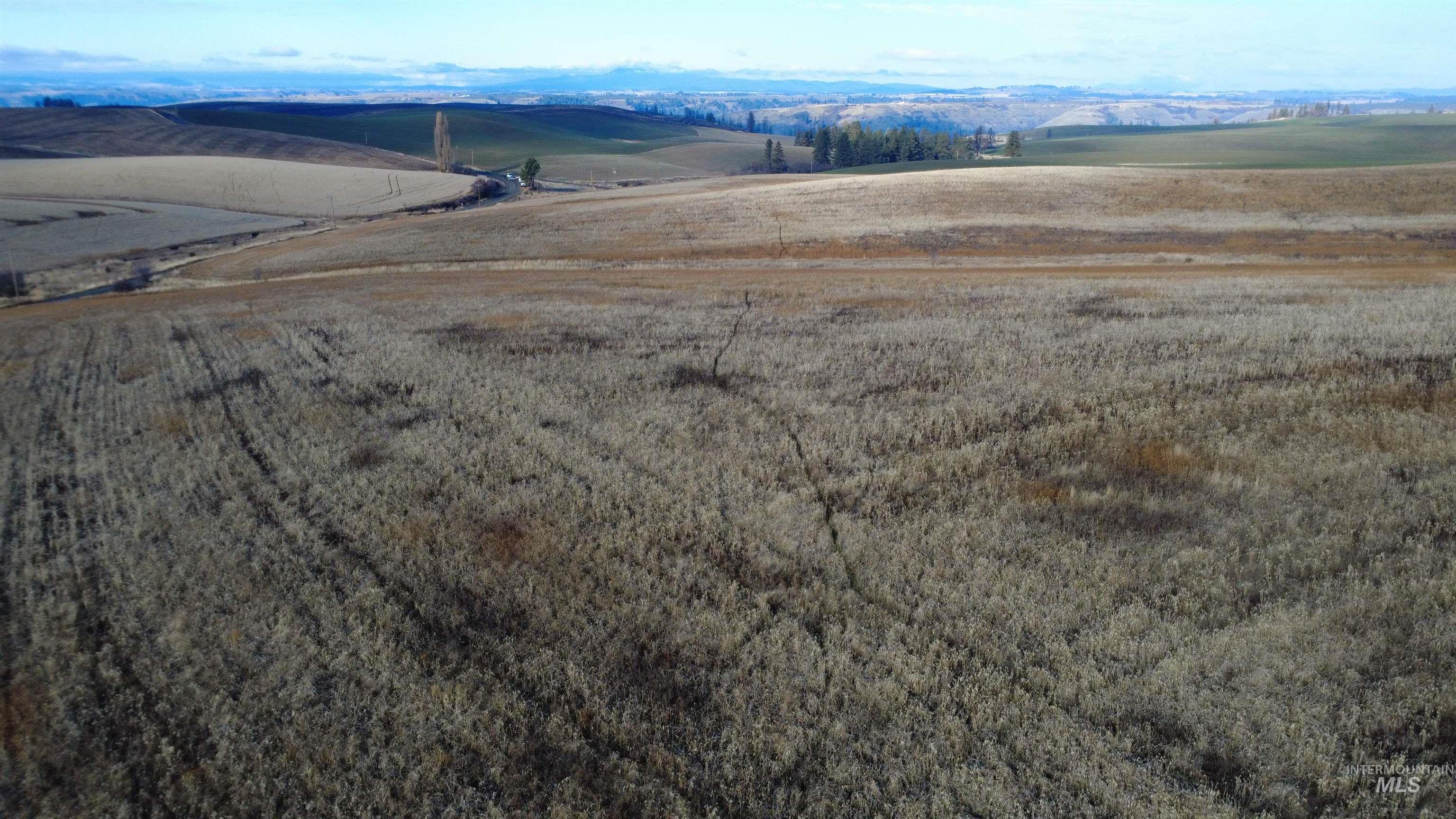 TBD North Road, Kendrick, Idaho 83537, Land For Sale, Price $630,000,MLS 98968062