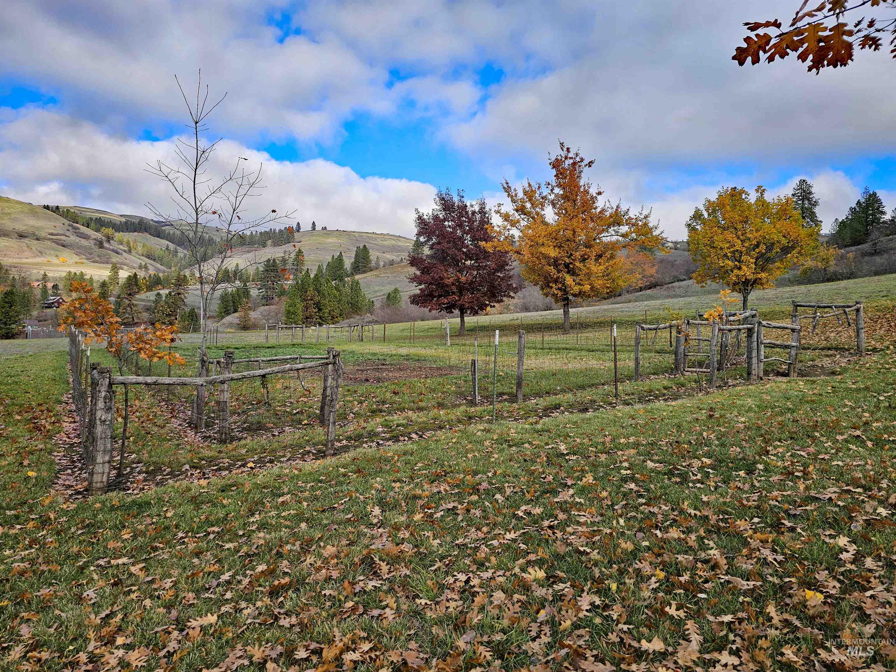 20044 Orchard Lane, Lenore, Idaho 83541, 2 Bedrooms, 2 Bathrooms, Residential For Sale, Price $775,000,MLS 98968090