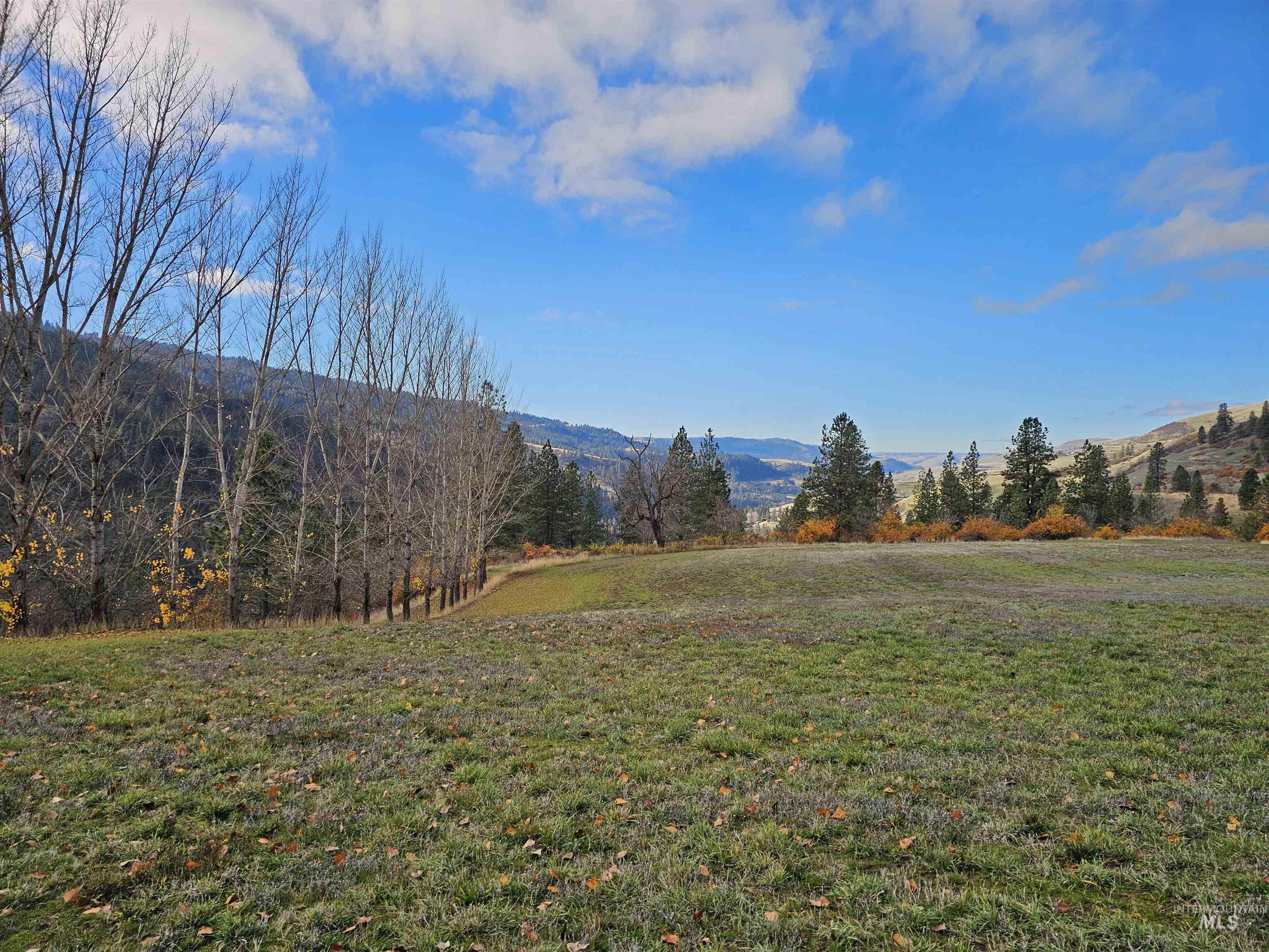 20044 Orchard Lane, Lenore, Idaho 83541, 2 Bedrooms, 2 Bathrooms, Residential For Sale, Price $775,000,MLS 98968090