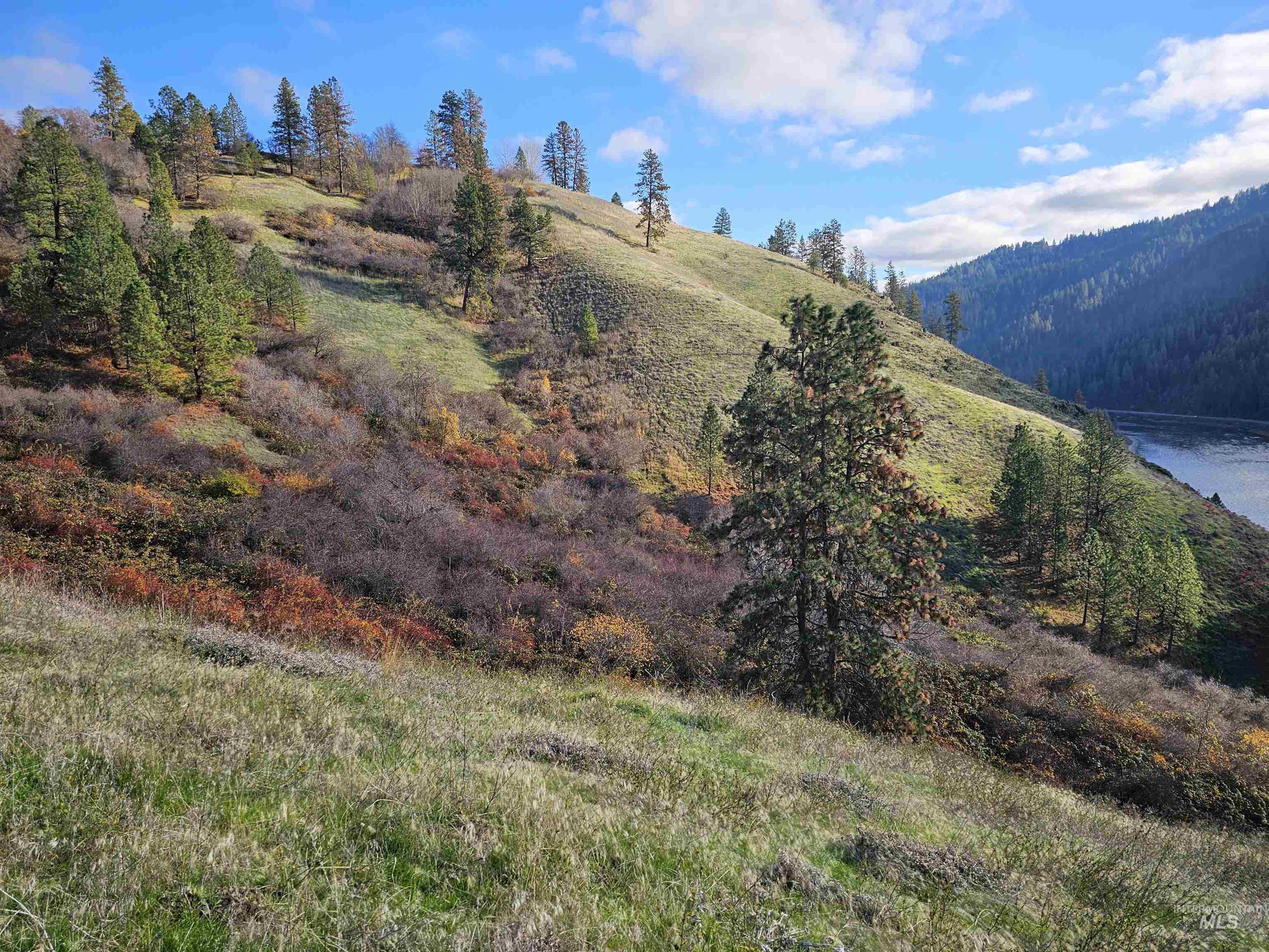 20044 Orchard Lane, Lenore, Idaho 83541, 2 Bedrooms, 2 Bathrooms, Residential For Sale, Price $775,000,MLS 98968090