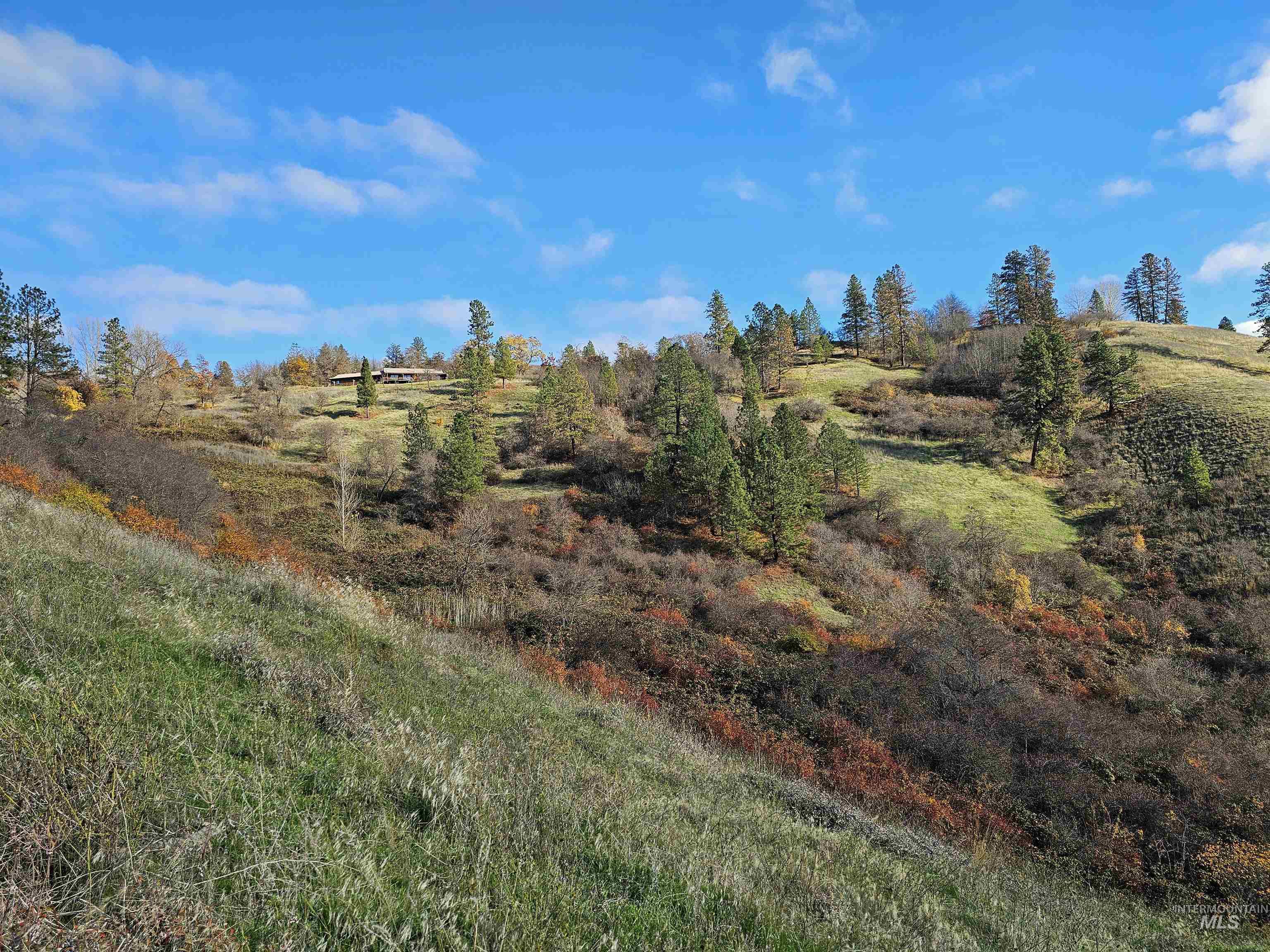 20044 Orchard Lane, Lenore, Idaho 83541, 2 Bedrooms, 2 Bathrooms, Residential For Sale, Price $775,000,MLS 98968090