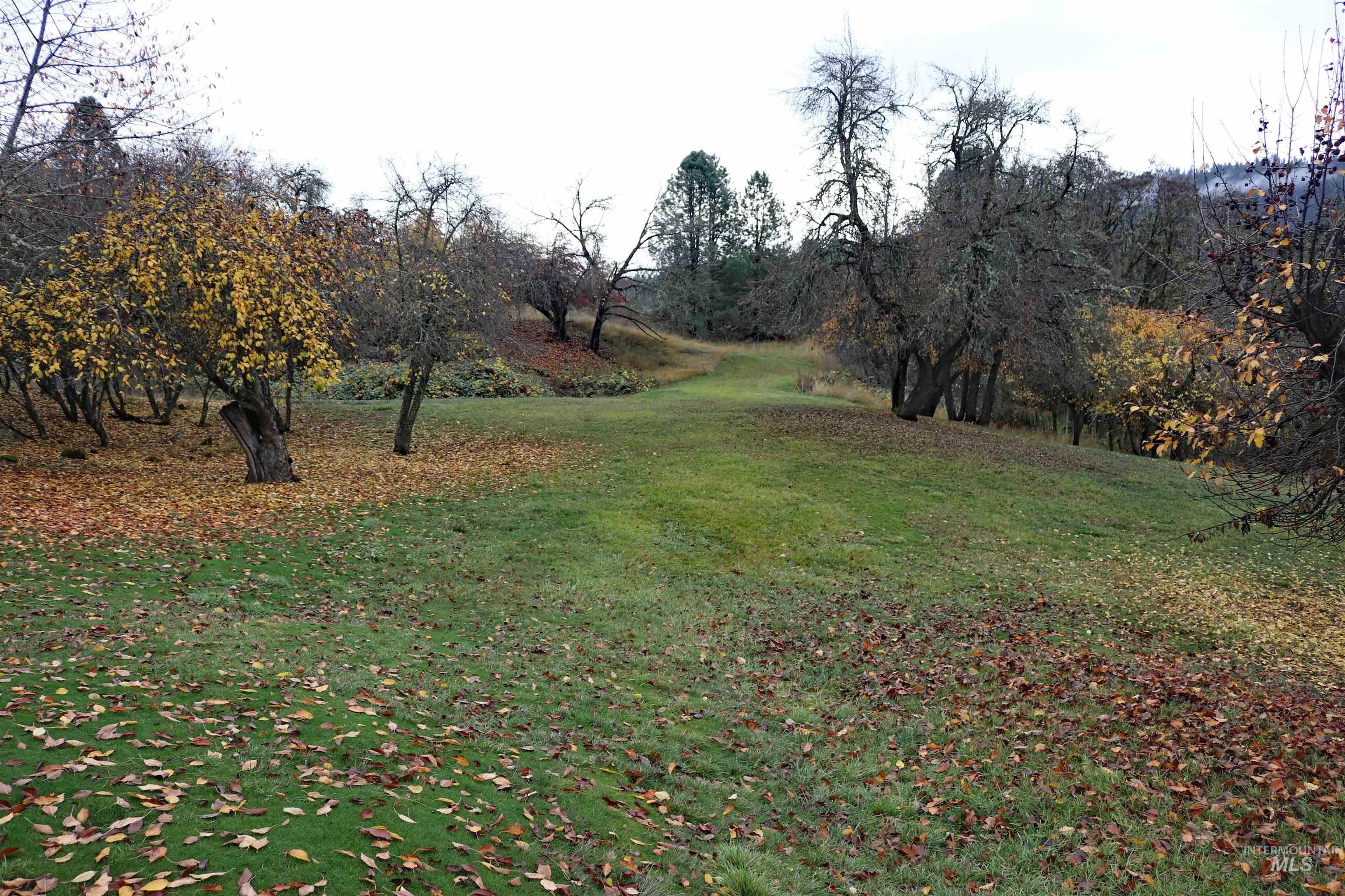 20044 Orchard Lane, Lenore, Idaho 83541, 2 Bedrooms, 2 Bathrooms, Residential For Sale, Price $775,000,MLS 98968090