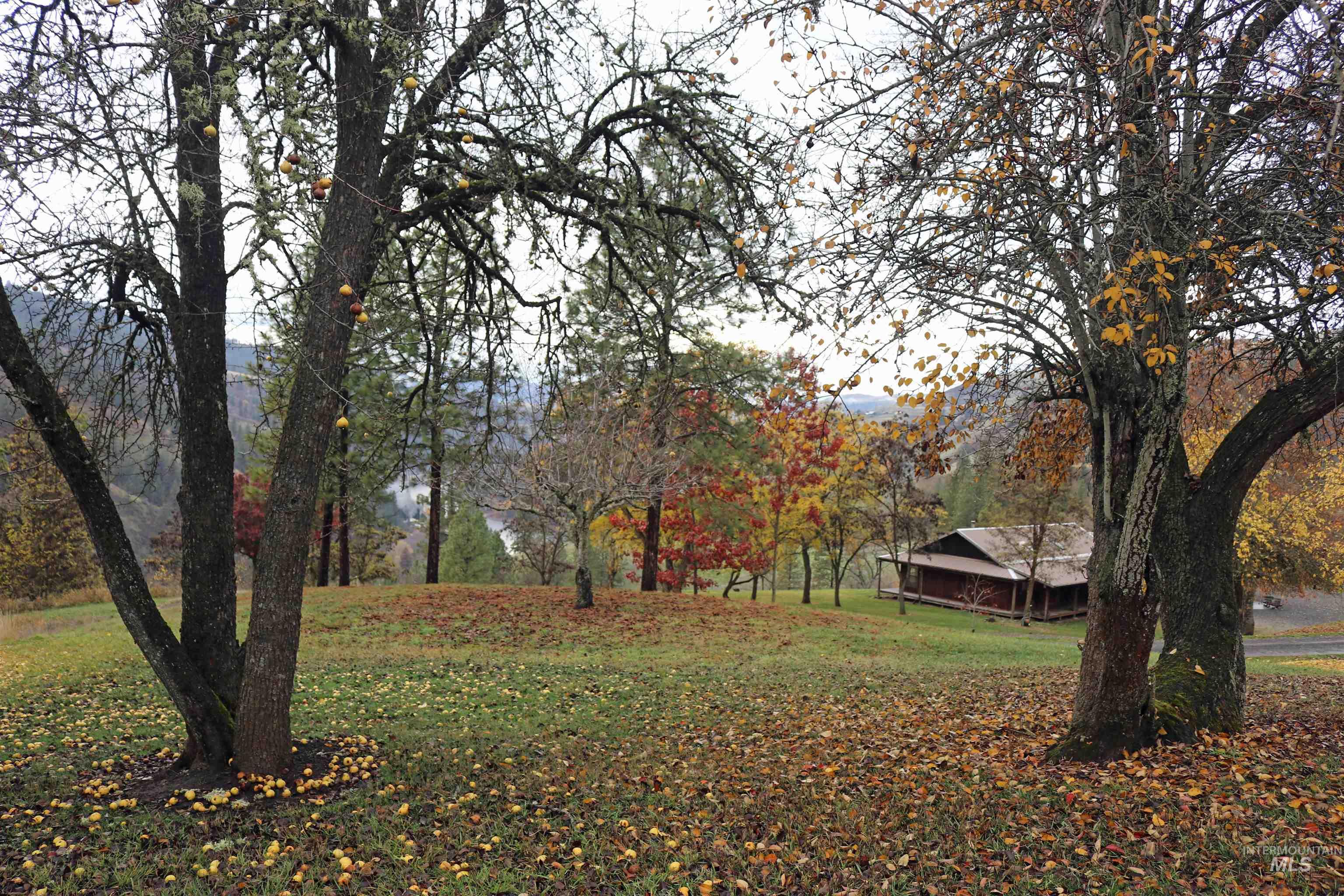 20044 Orchard Lane, Lenore, Idaho 83541, 2 Bedrooms, 2 Bathrooms, Residential For Sale, Price $775,000,MLS 98968090