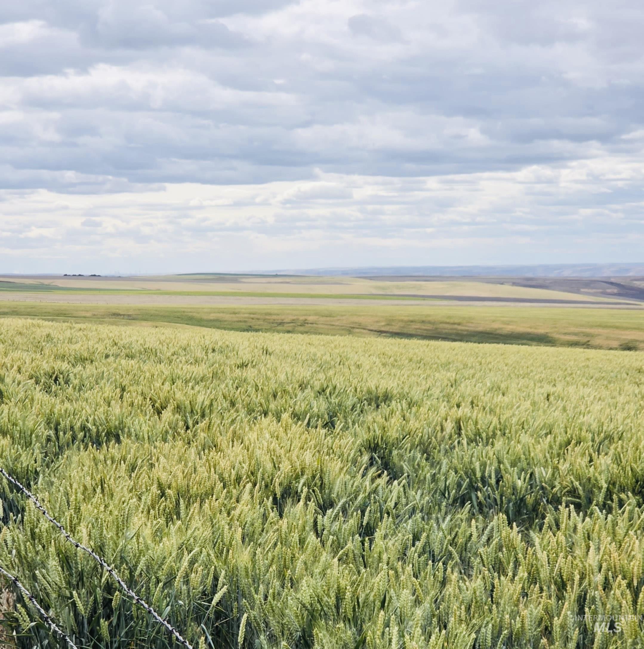 NKA Smith Gulch Rd, Pomeroy, Washington 99347, Land For Sale, Price $685,000, 98968103