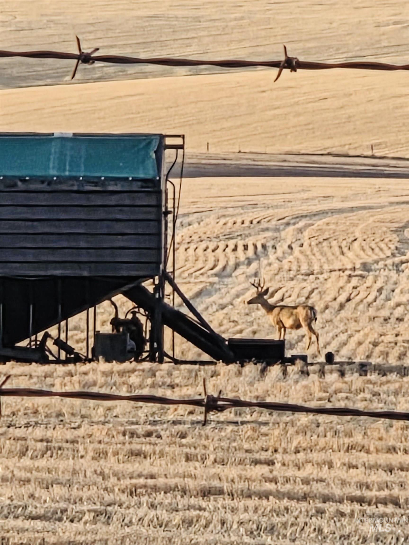 NKA Smith Gulch Rd, Pomeroy, Washington 99347, Land For Sale, Price $685,000, 98968103