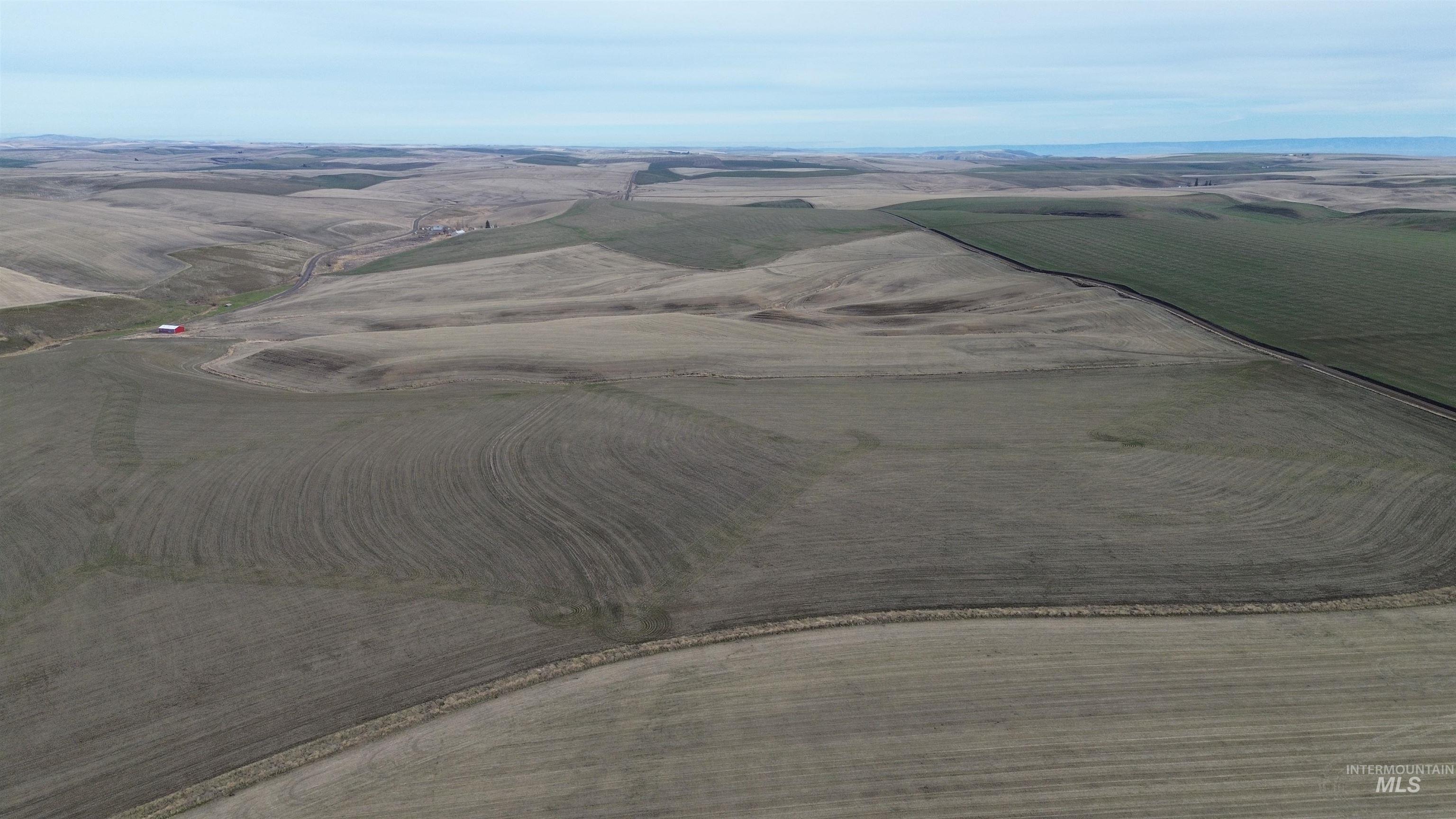 NKA Smith Gulch Rd, Pomeroy, Washington 99347, Land For Sale, Price $685,000, 98968103