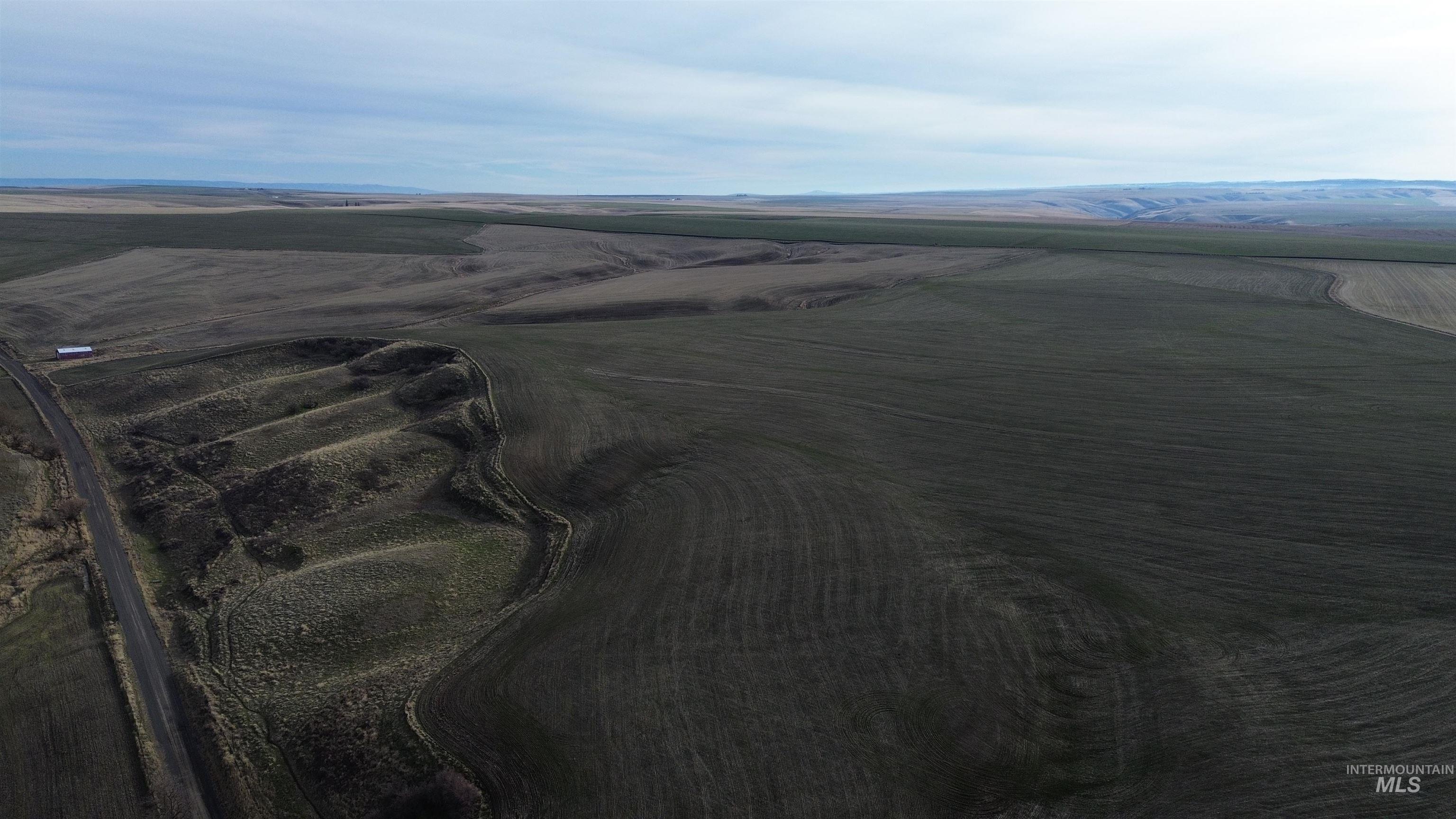 NKA Smith Gulch Rd, Pomeroy, Washington 99347, Land For Sale, Price $685,000, 98968103