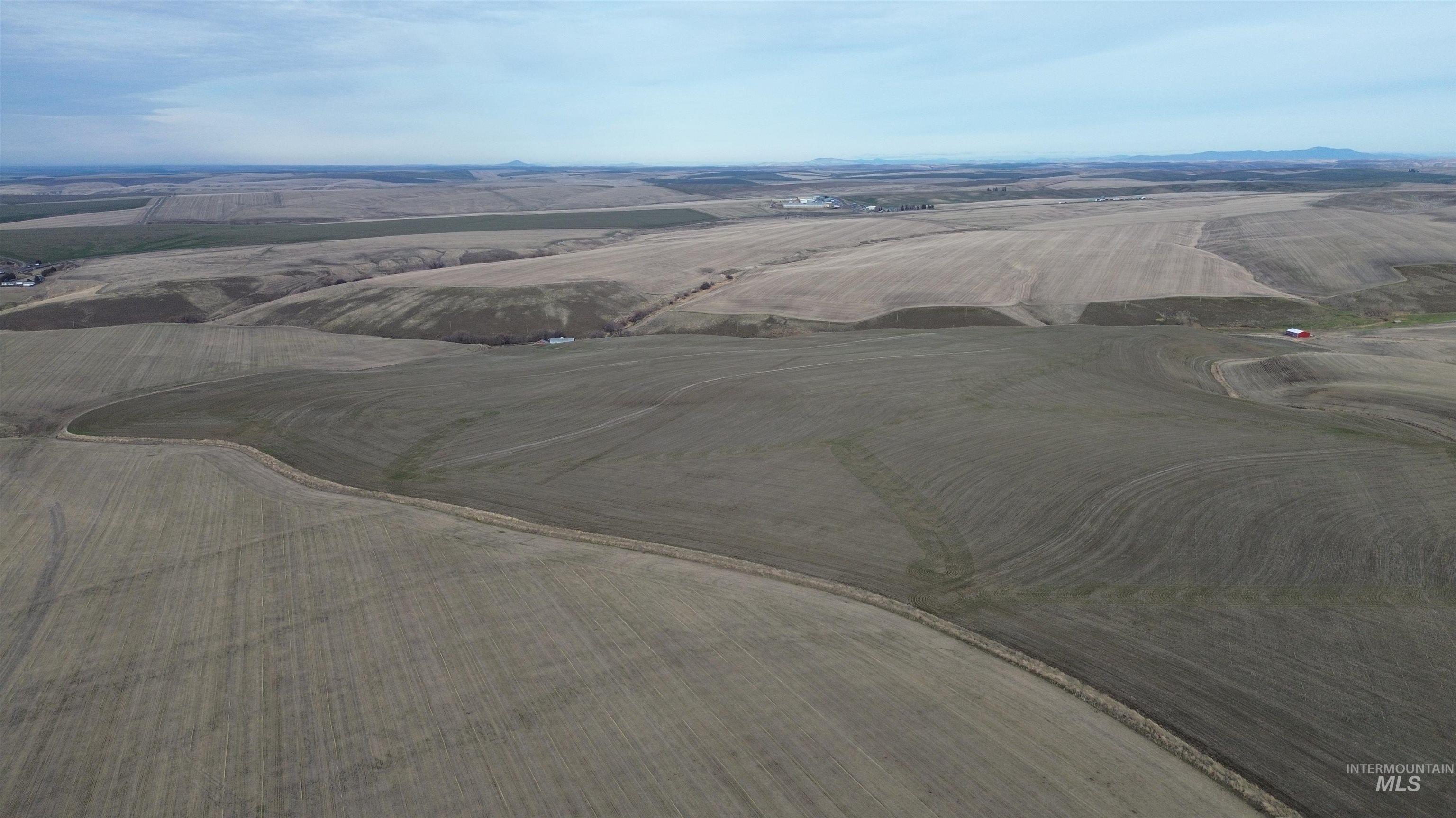 NKA Smith Gulch Rd, Pomeroy, Washington 99347, Land For Sale, Price $685,000, 98968103