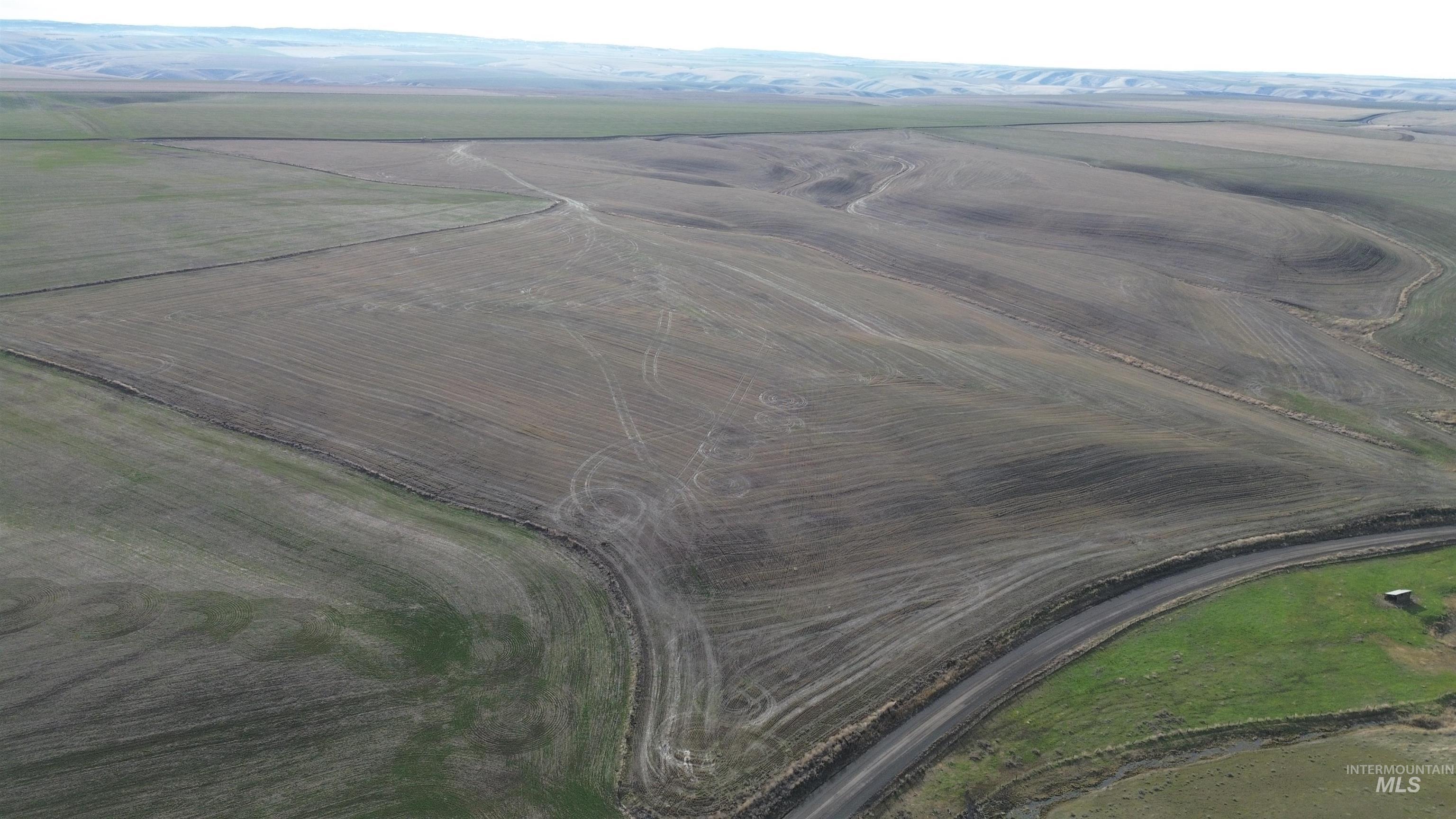 NKA Smith Gulch Rd, Pomeroy, Washington 99347, Land For Sale, Price $685,000, 98968103