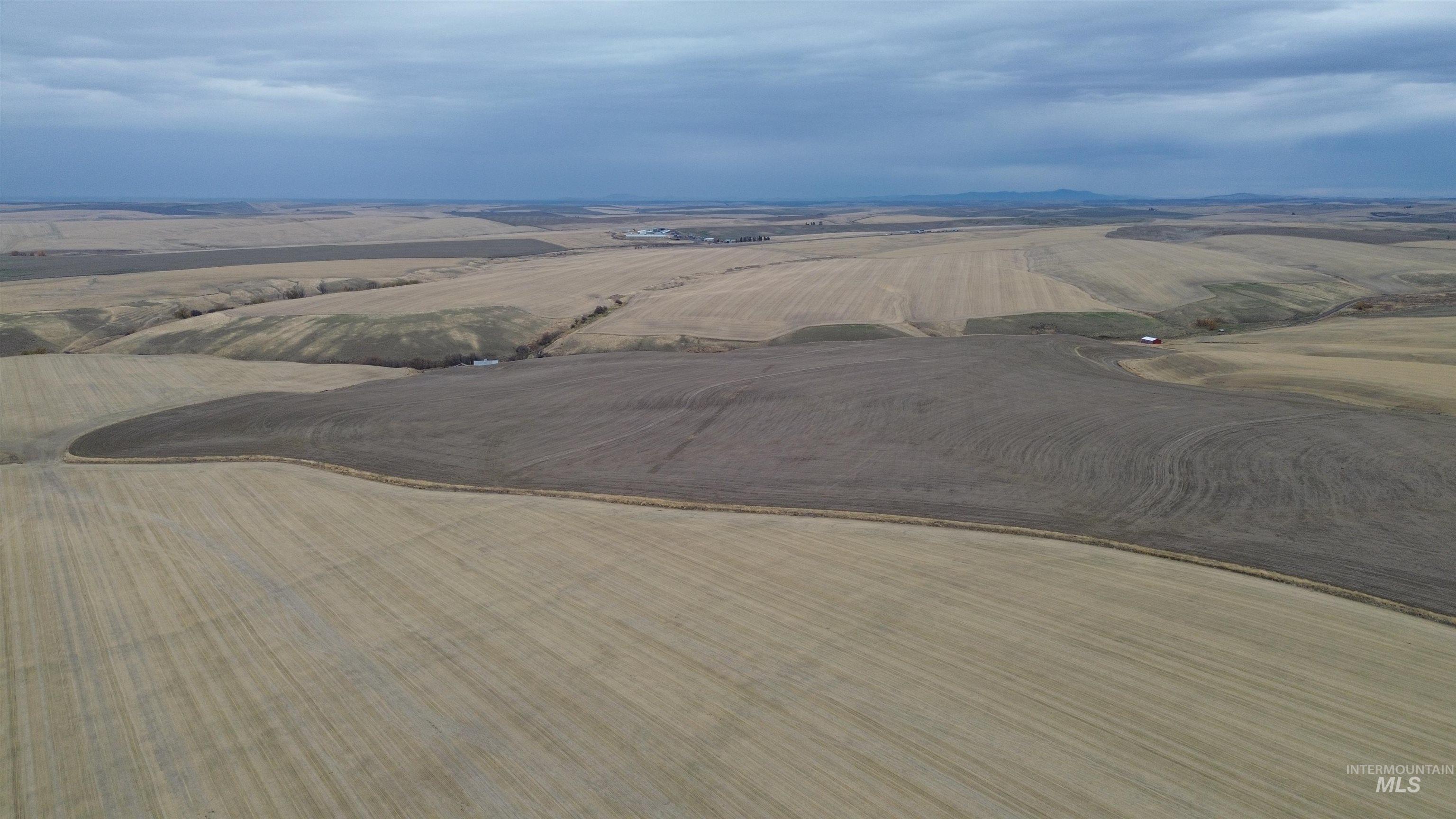 NKA Smith Gulch Rd, Pomeroy, Washington 99347, Land For Sale, Price $685,000, 98968103