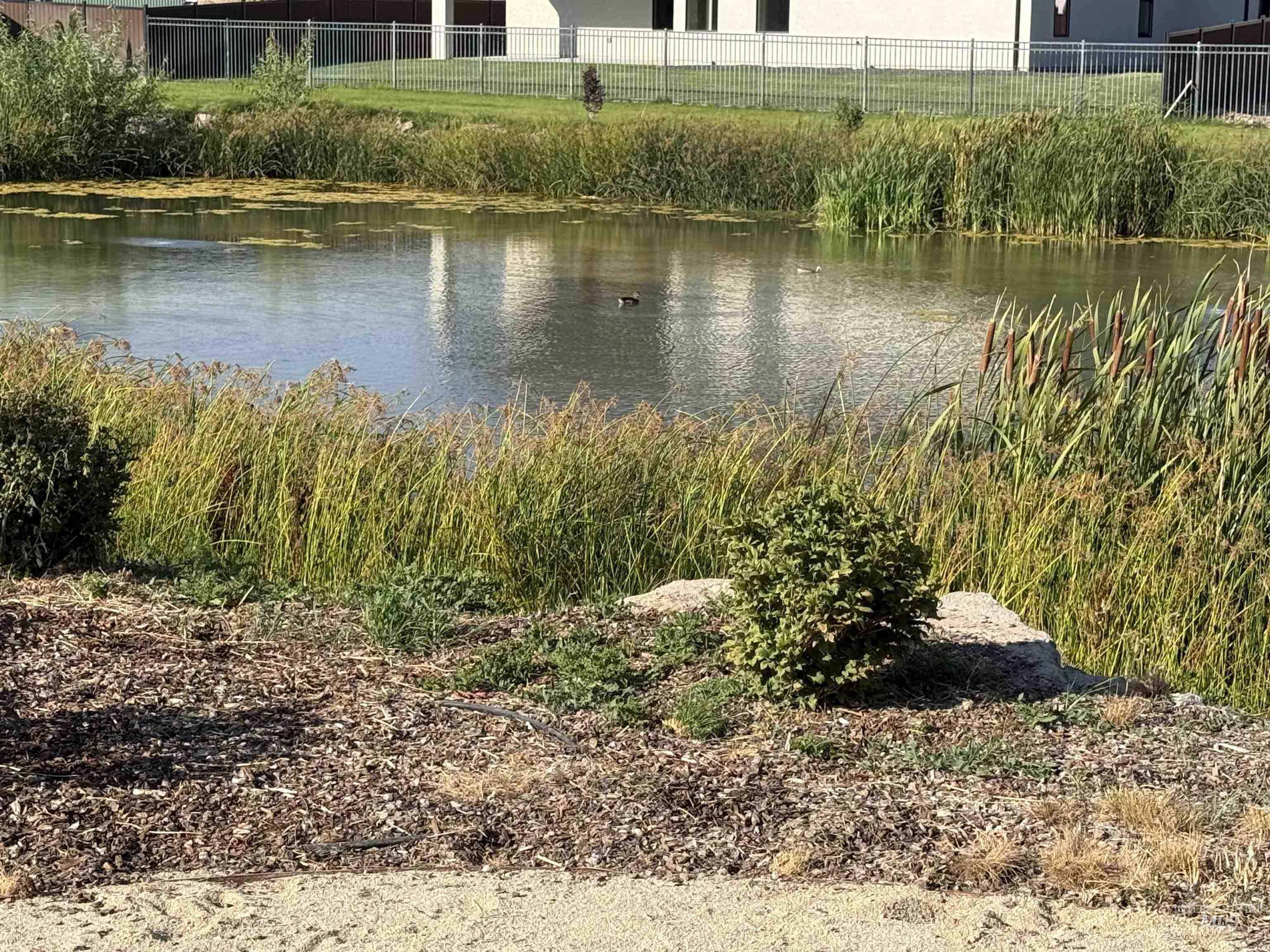 1583 Lagoon Lane, Twin Falls, Idaho 83301, 4 Bedrooms, 3 Bathrooms, Residential For Sale, Price $559,000,MLS 98968262