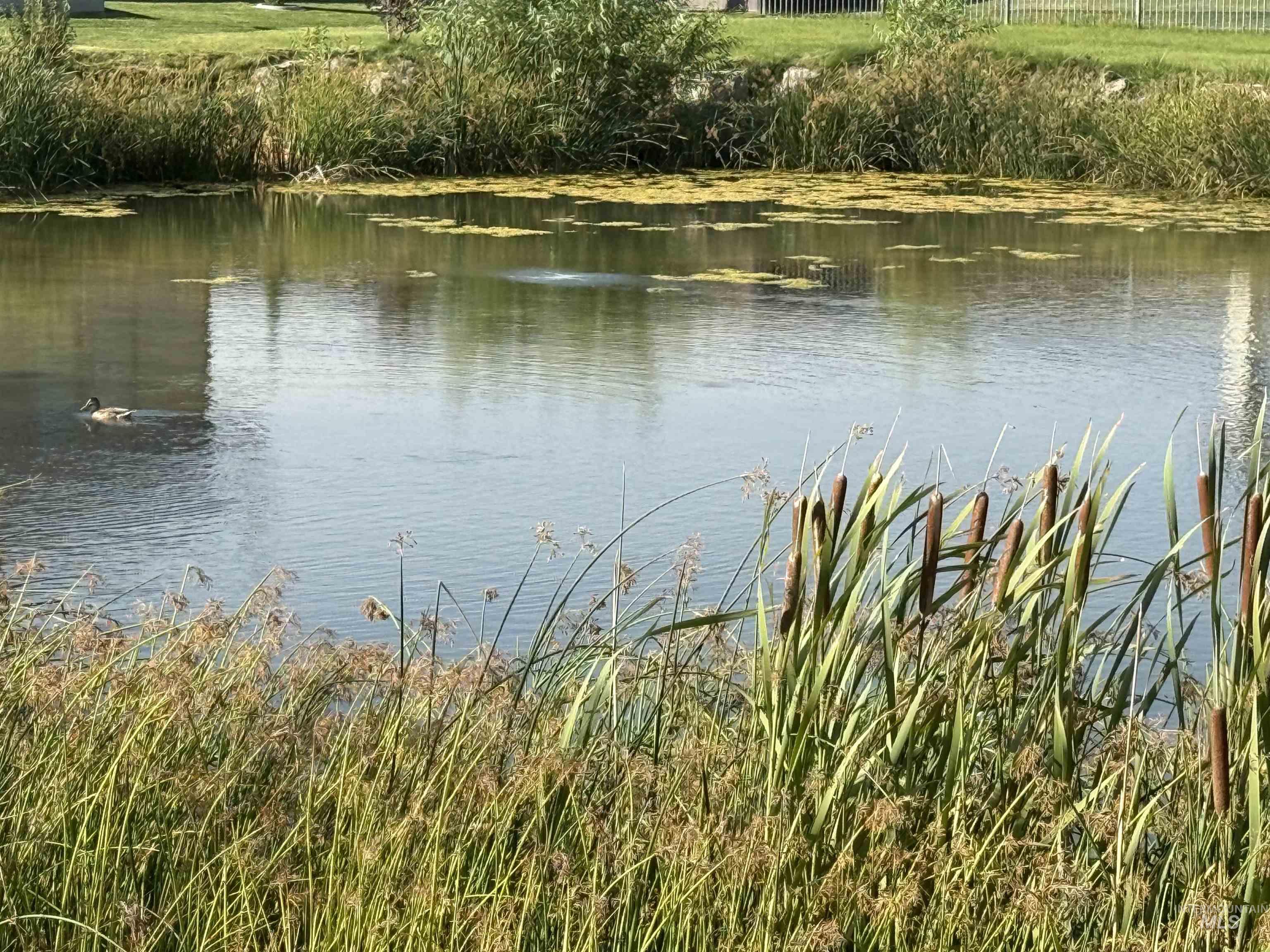 1583 Lagoon Lane, Twin Falls, Idaho 83301, 4 Bedrooms, 3 Bathrooms, Residential For Sale, Price $559,000,MLS 98968262