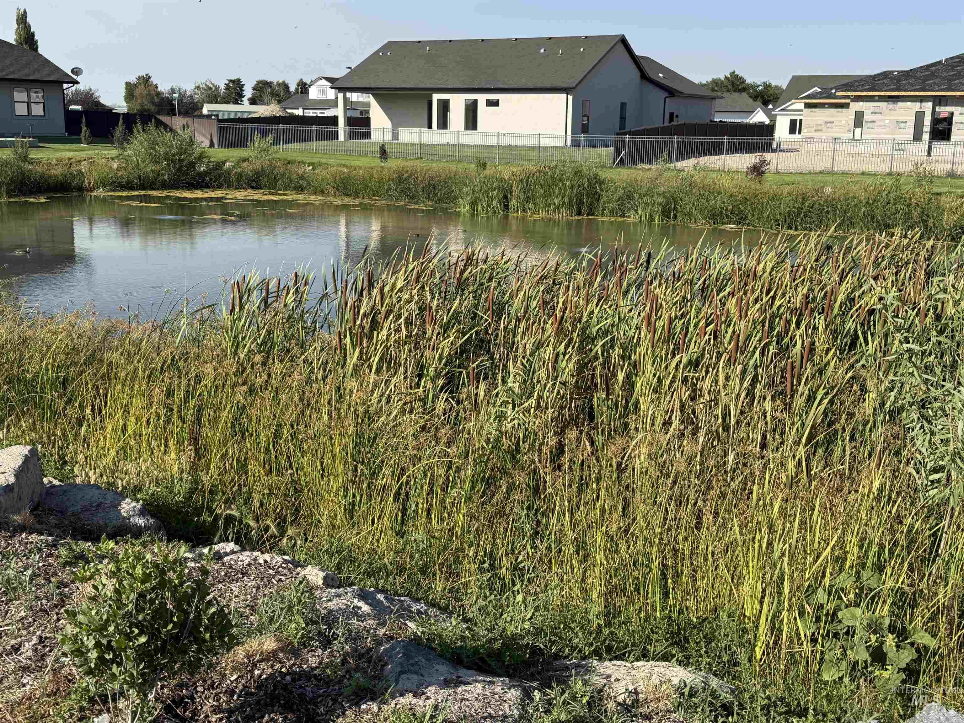 1583 Lagoon Lane, Twin Falls, Idaho 83301, 4 Bedrooms, 3 Bathrooms, Residential For Sale, Price $559,000,MLS 98968262