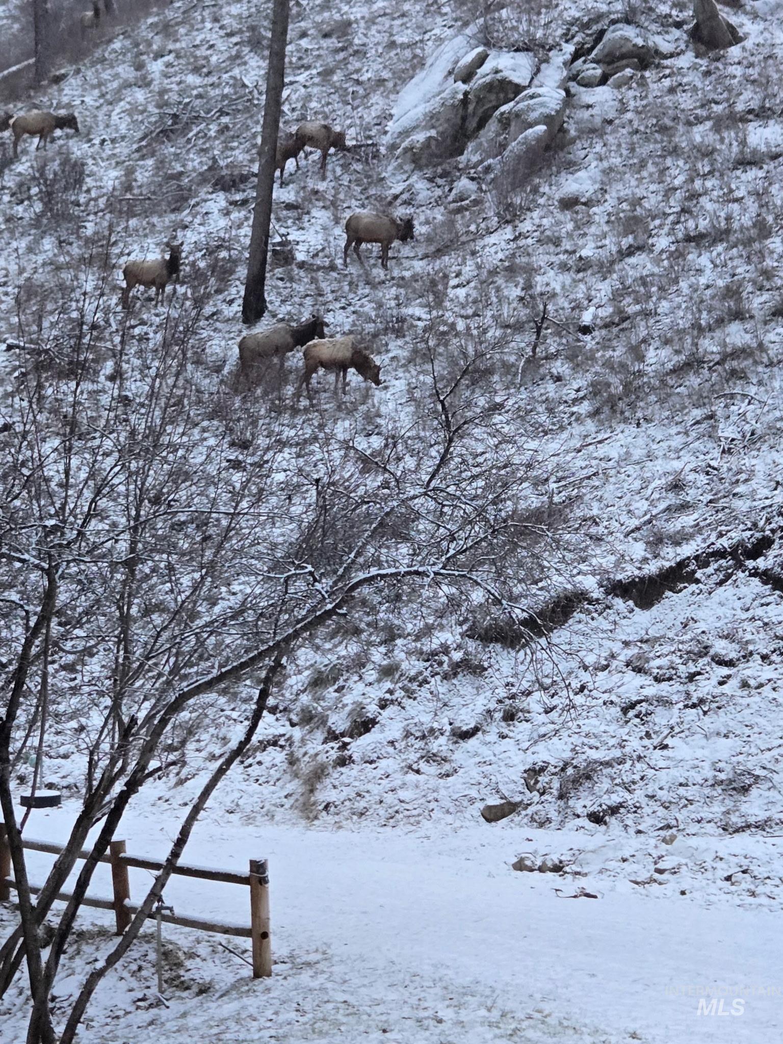 182 Southfork Rd, Garden Valley, Idaho 83622, 5 Bedrooms, 3 Bathrooms, Residential For Sale, Price $1,375,000,MLS 98968313