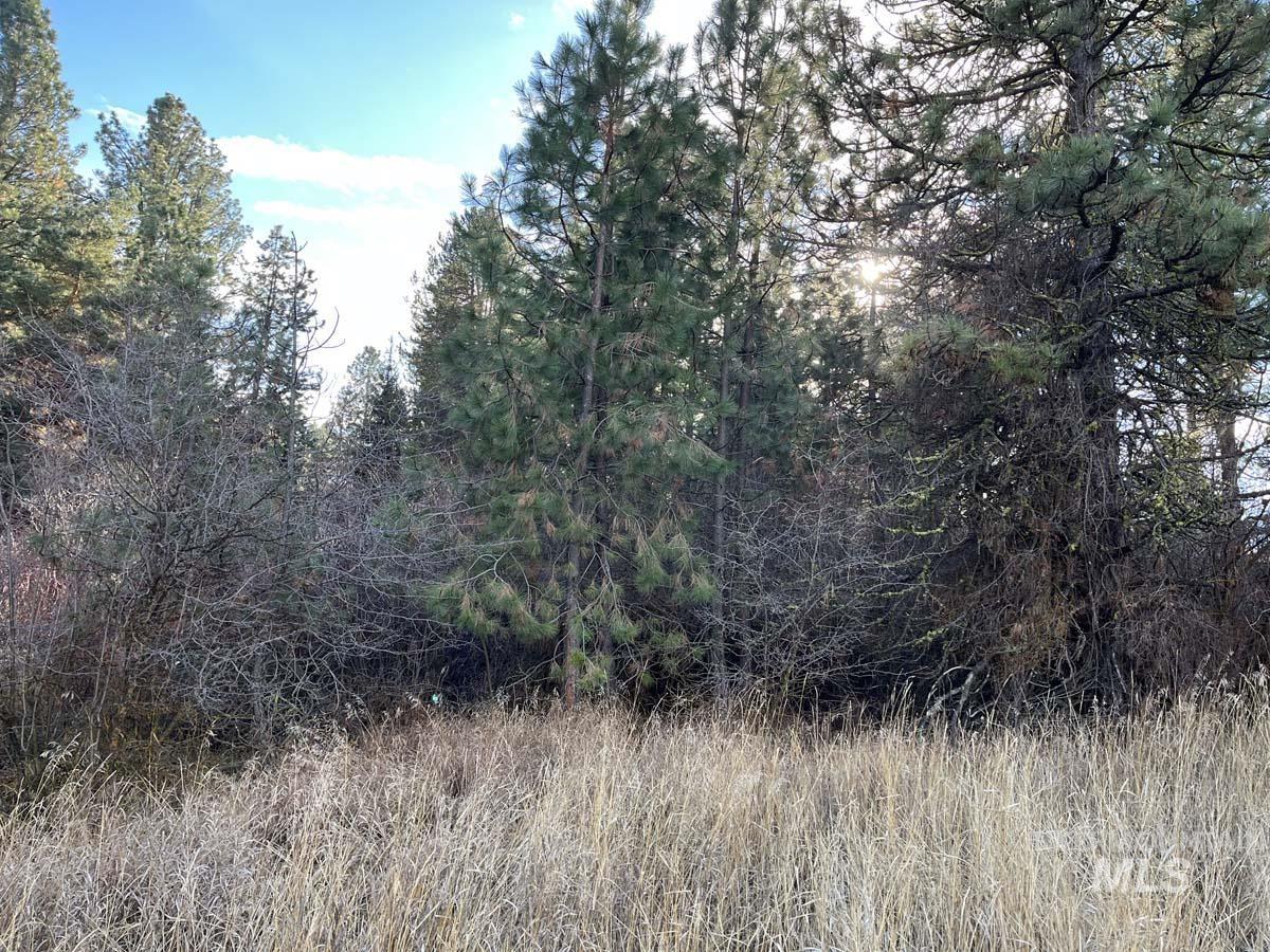 L129 Par Drive, Cascade, Idaho 83611, Land For Sale, Price $165,000, 98968445
