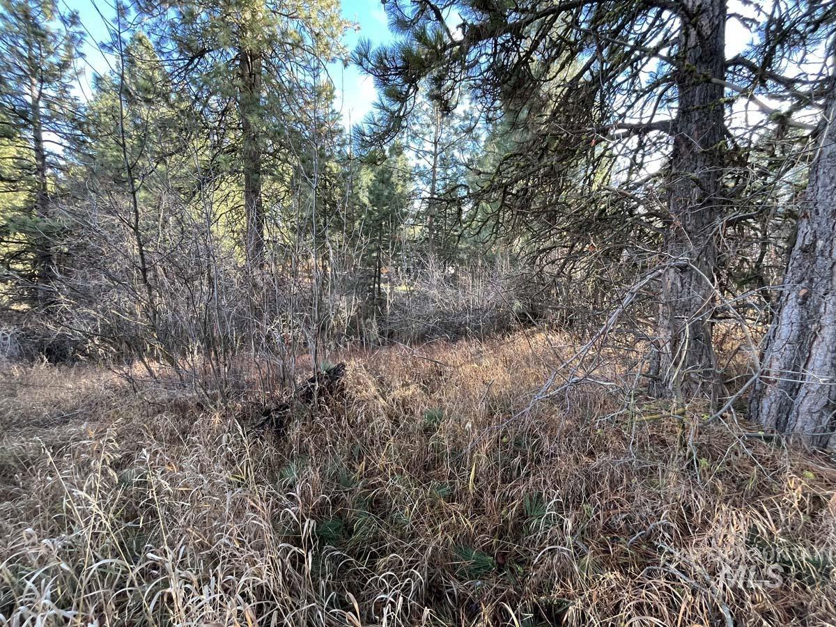L129 Par Drive, Cascade, Idaho 83611, Land For Sale, Price $165,000, 98968445