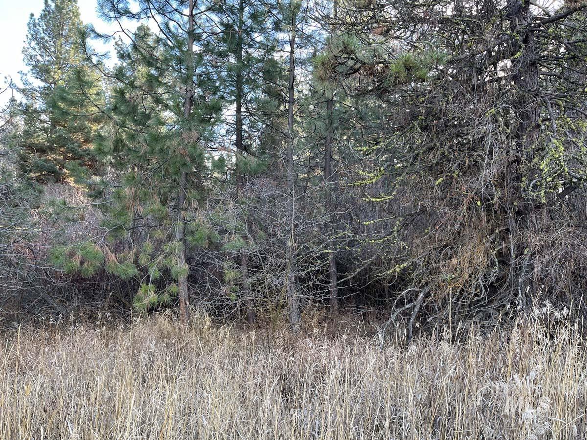 L129 Par Drive, Cascade, Idaho 83611, Land For Sale, Price $165,000, 98968445