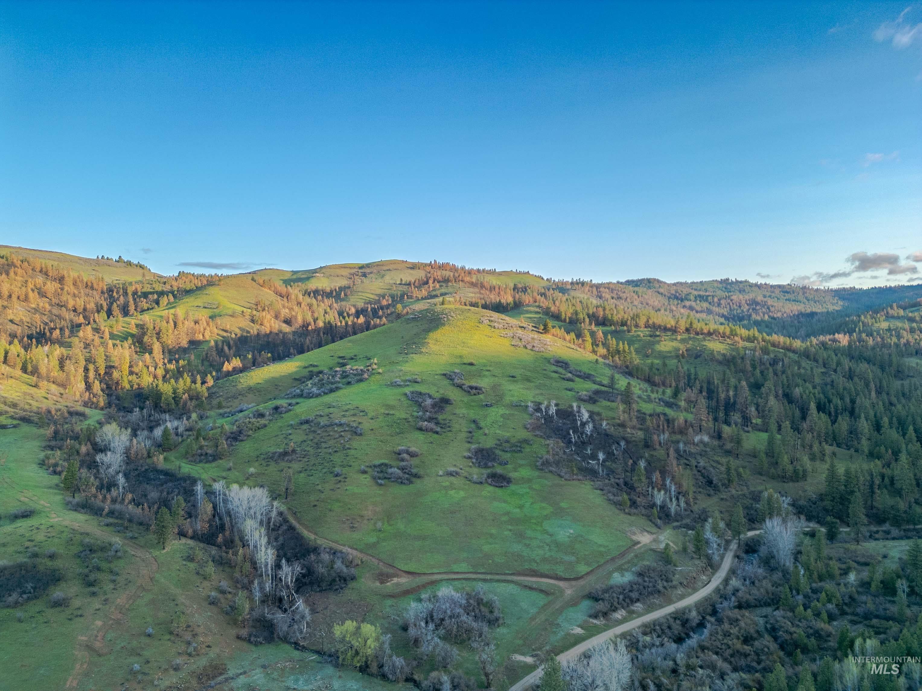 TBD Ola, Ola, Idaho 83657, Land For Sale, Price $395,000,MLS 98968481