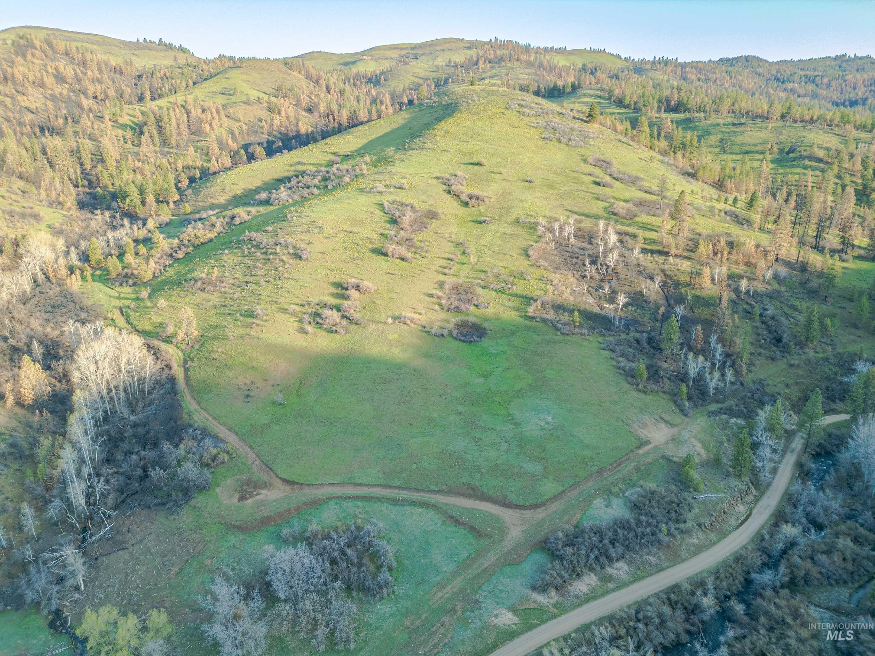 TBD Ola, Ola, Idaho 83657, Land For Sale, Price $395,000,MLS 98968481