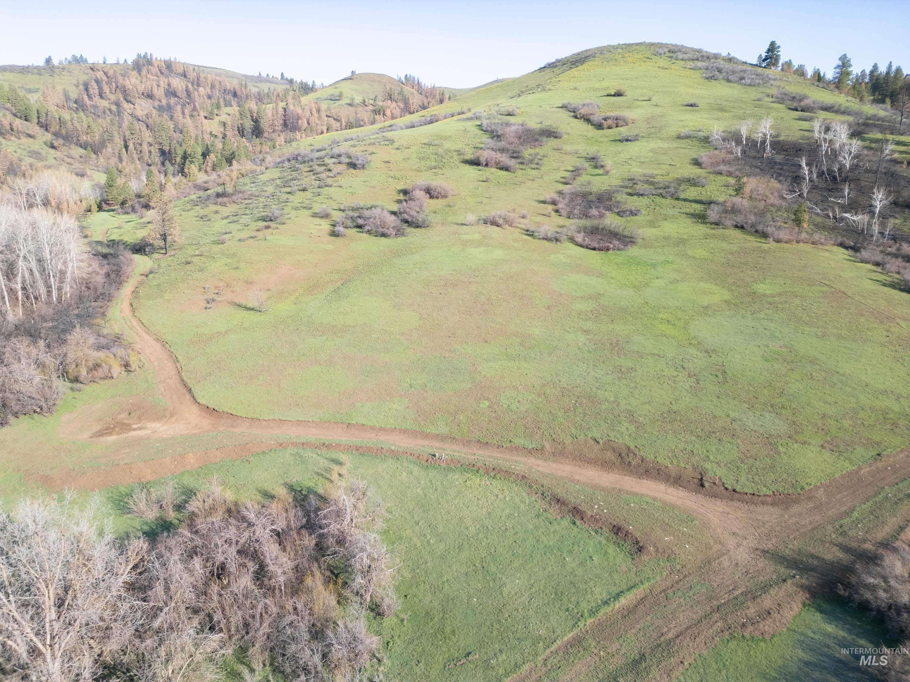 TBD Ola, Ola, Idaho 83657, Land For Sale, Price $395,000,MLS 98968481