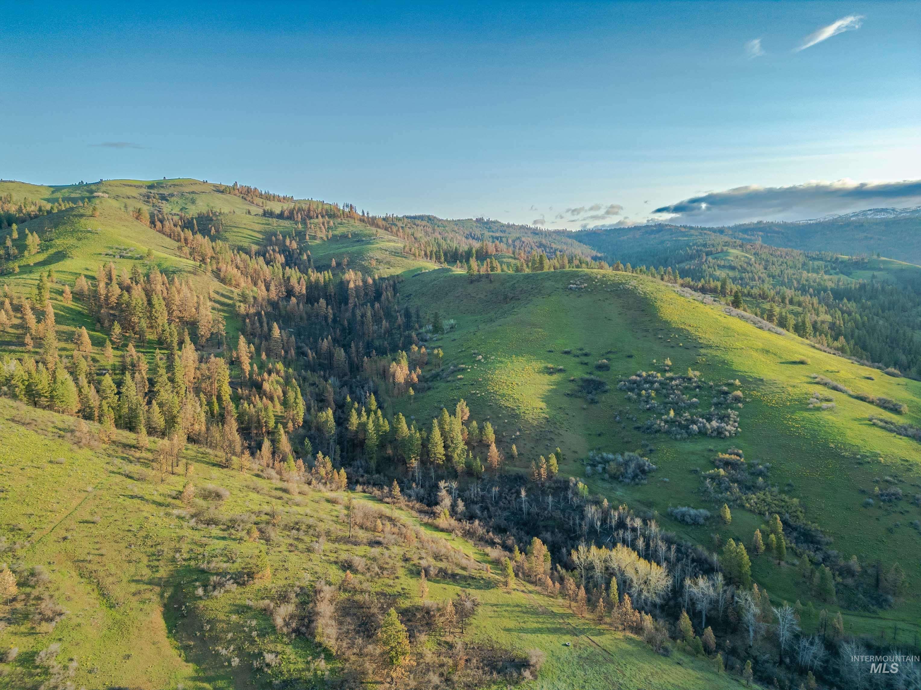 TBD Ola, Ola, Idaho 83657, Land For Sale, Price $395,000,MLS 98968481