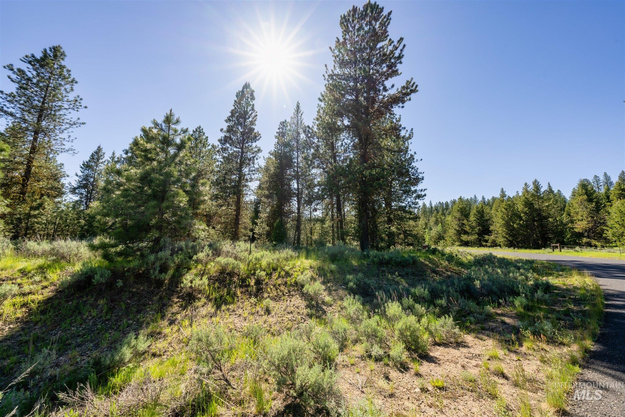 110 Fawnlilly Dr, McCall, Idaho 83638, Land For Sale, Price $170,000,MLS 98968487