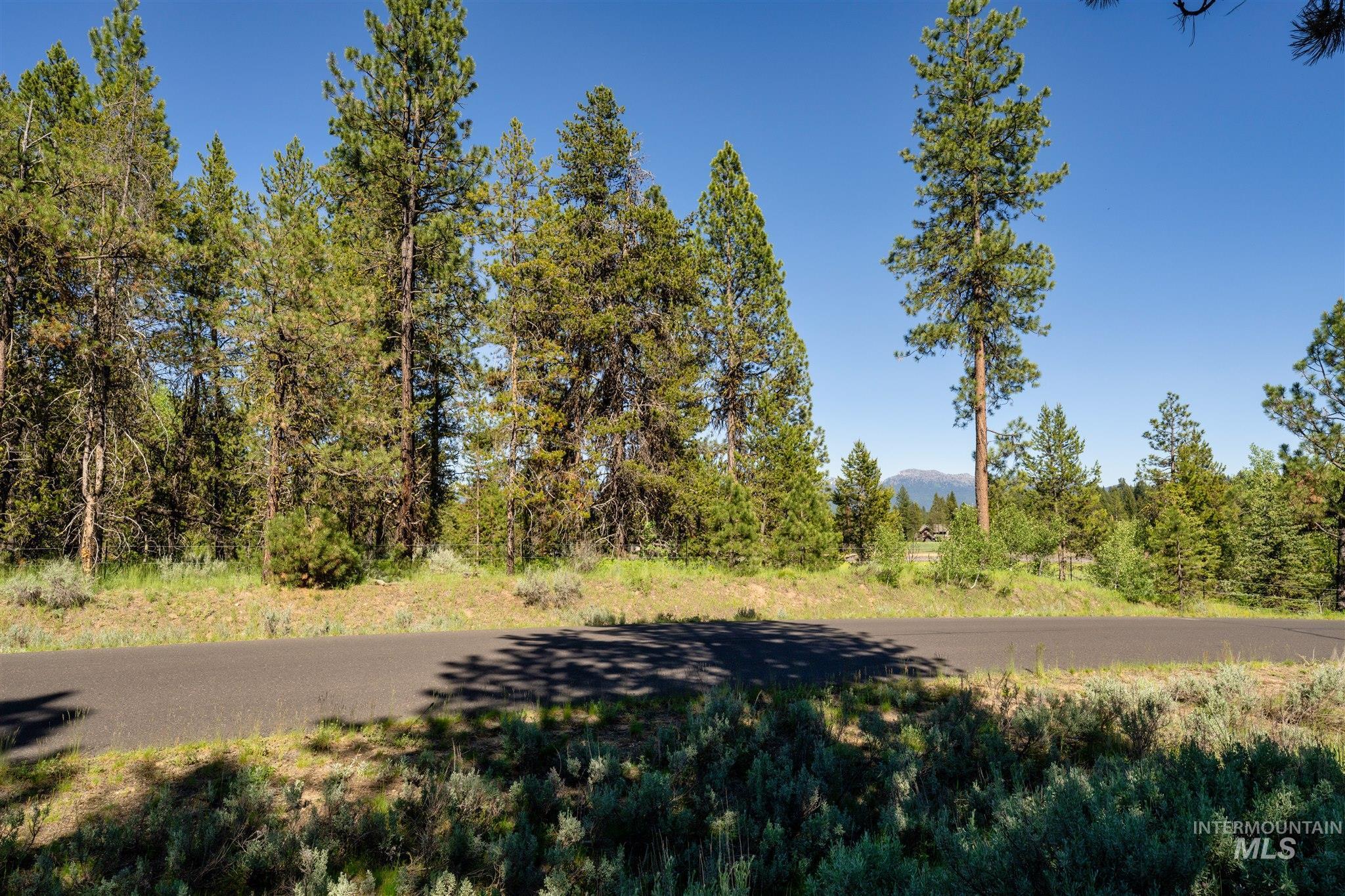 110 Fawnlilly Dr, McCall, Idaho 83638, Land For Sale, Price $170,000,MLS 98968487