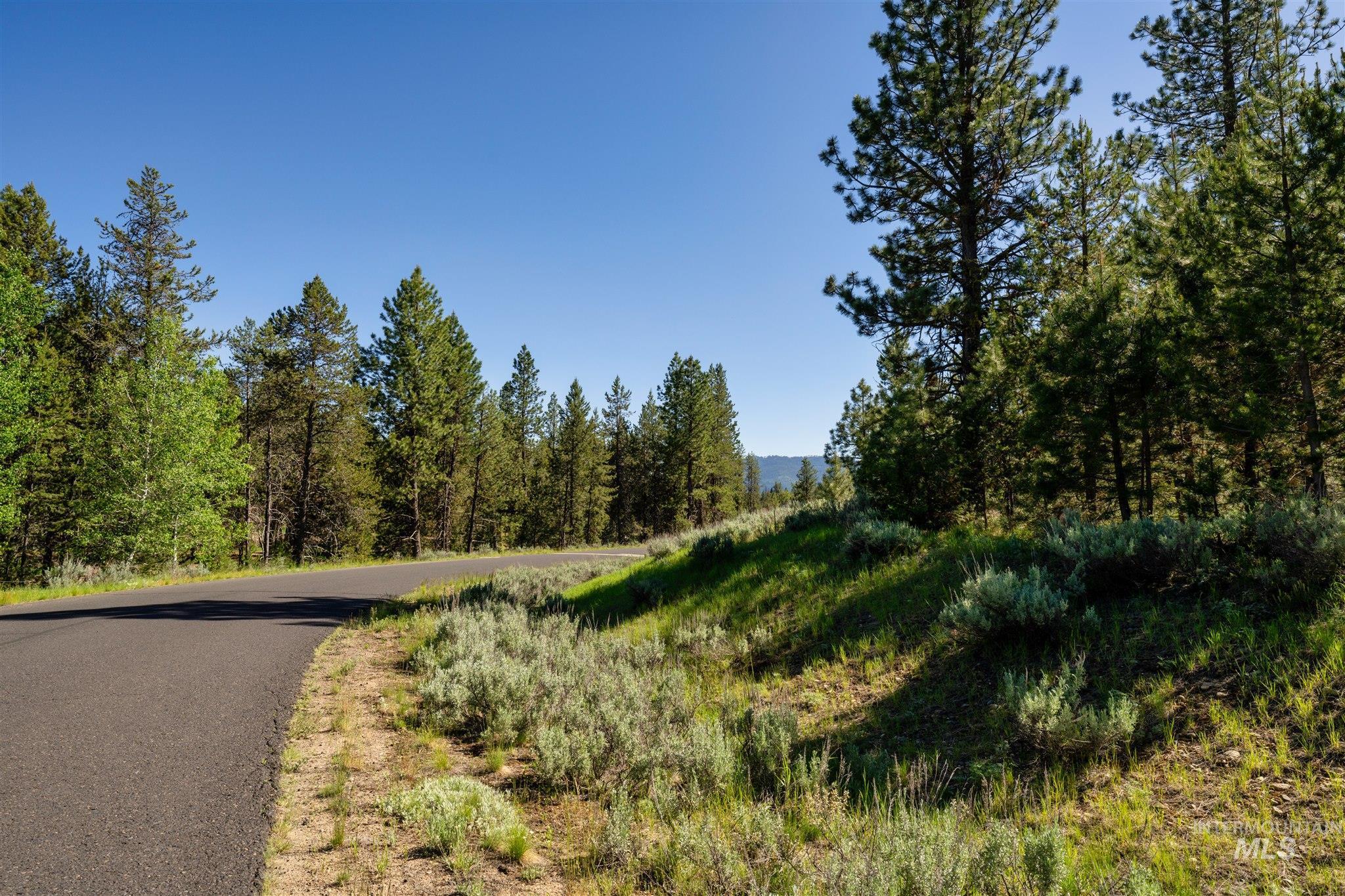 110 Fawnlilly Dr, McCall, Idaho 83638, Land For Sale, Price $170,000,MLS 98968487