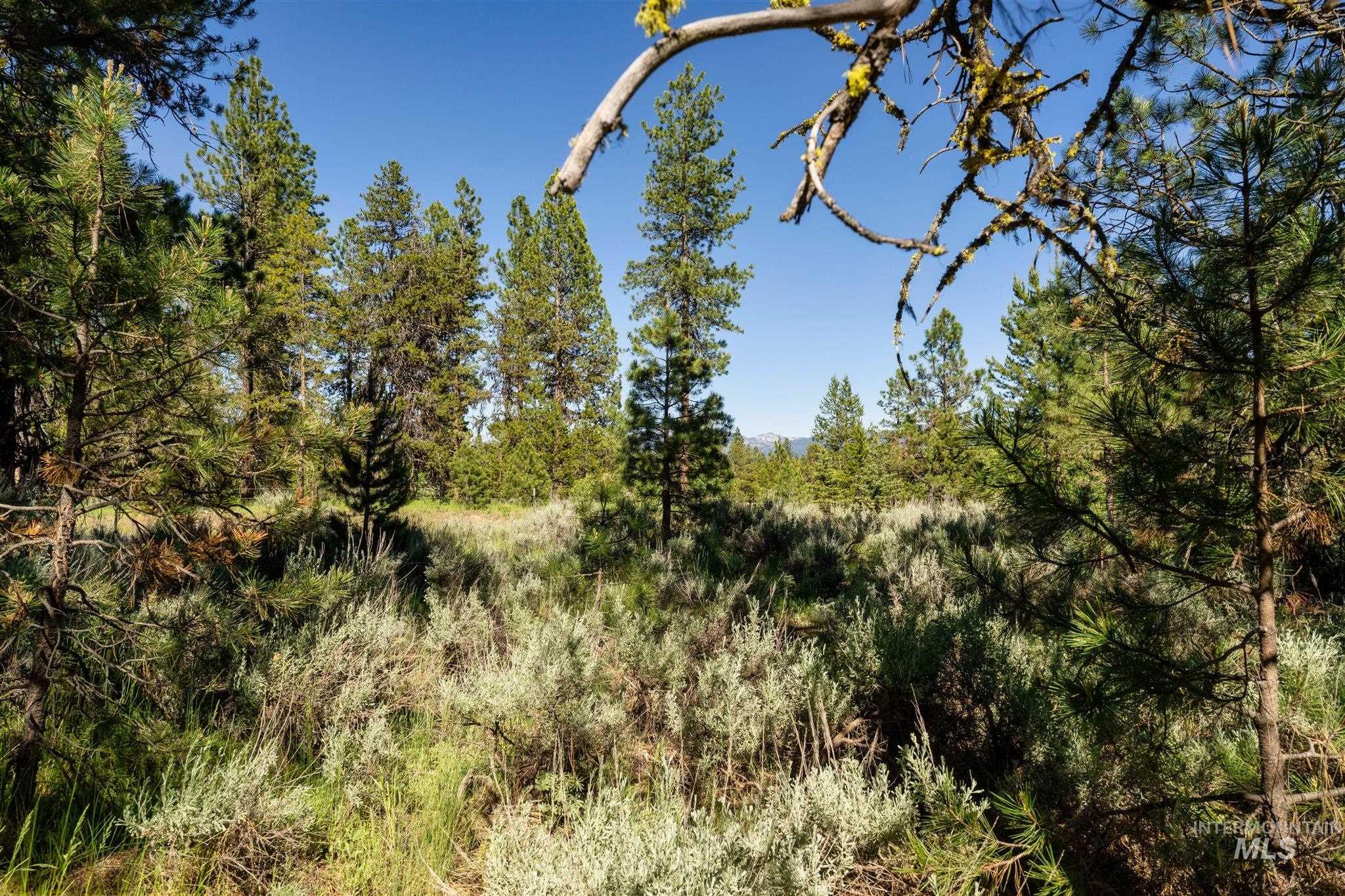 110 Fawnlilly Dr, McCall, Idaho 83638, Land For Sale, Price $170,000,MLS 98968487
