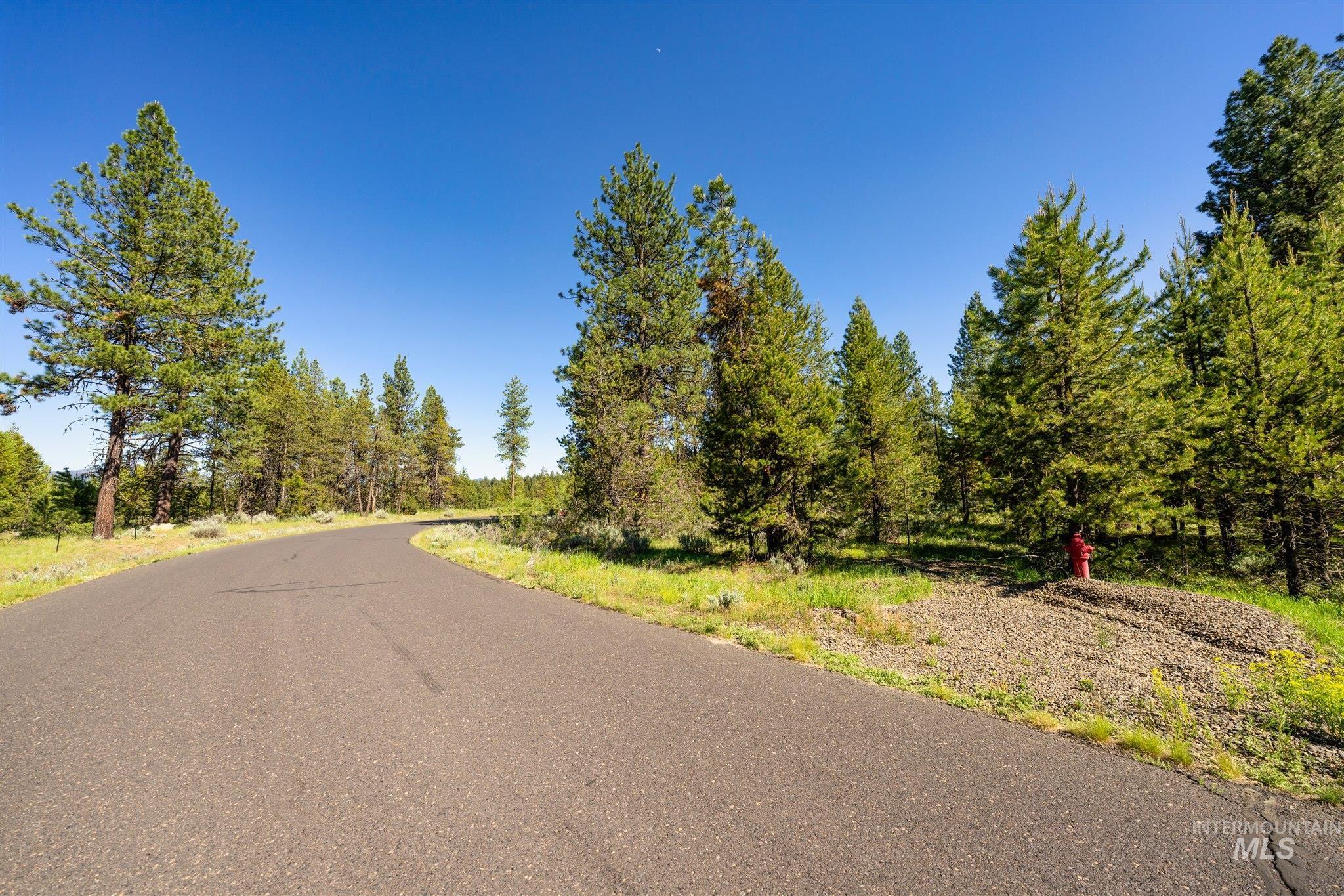 110 Fawnlilly Dr, McCall, Idaho 83638, Land For Sale, Price $170,000,MLS 98968487