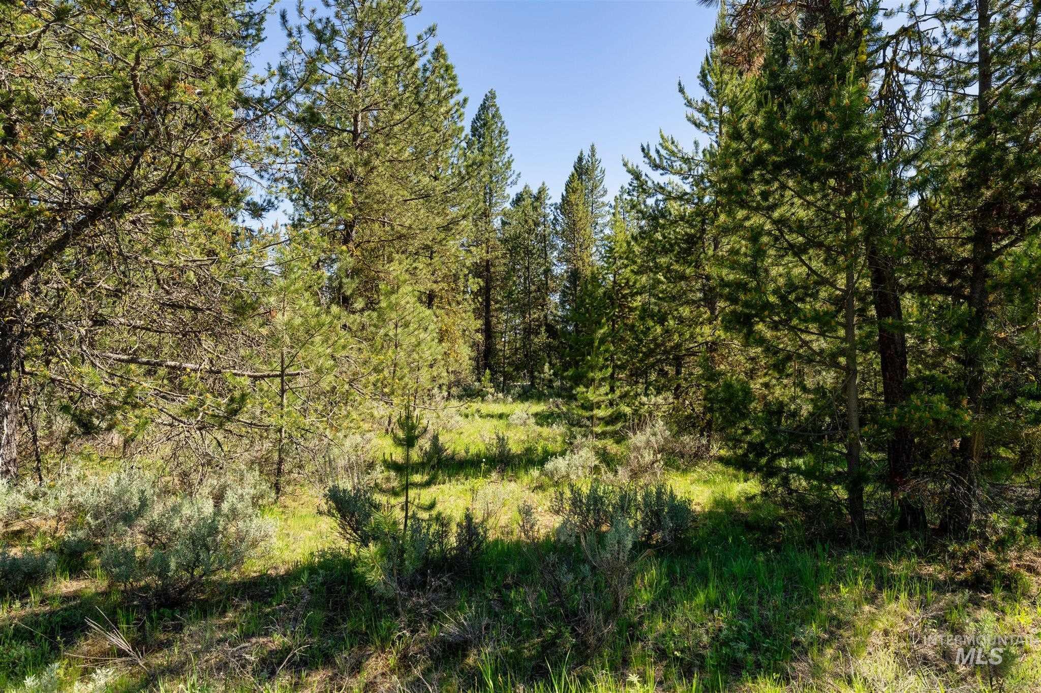 110 Fawnlilly Dr, McCall, Idaho 83638, Land For Sale, Price $170,000,MLS 98968487