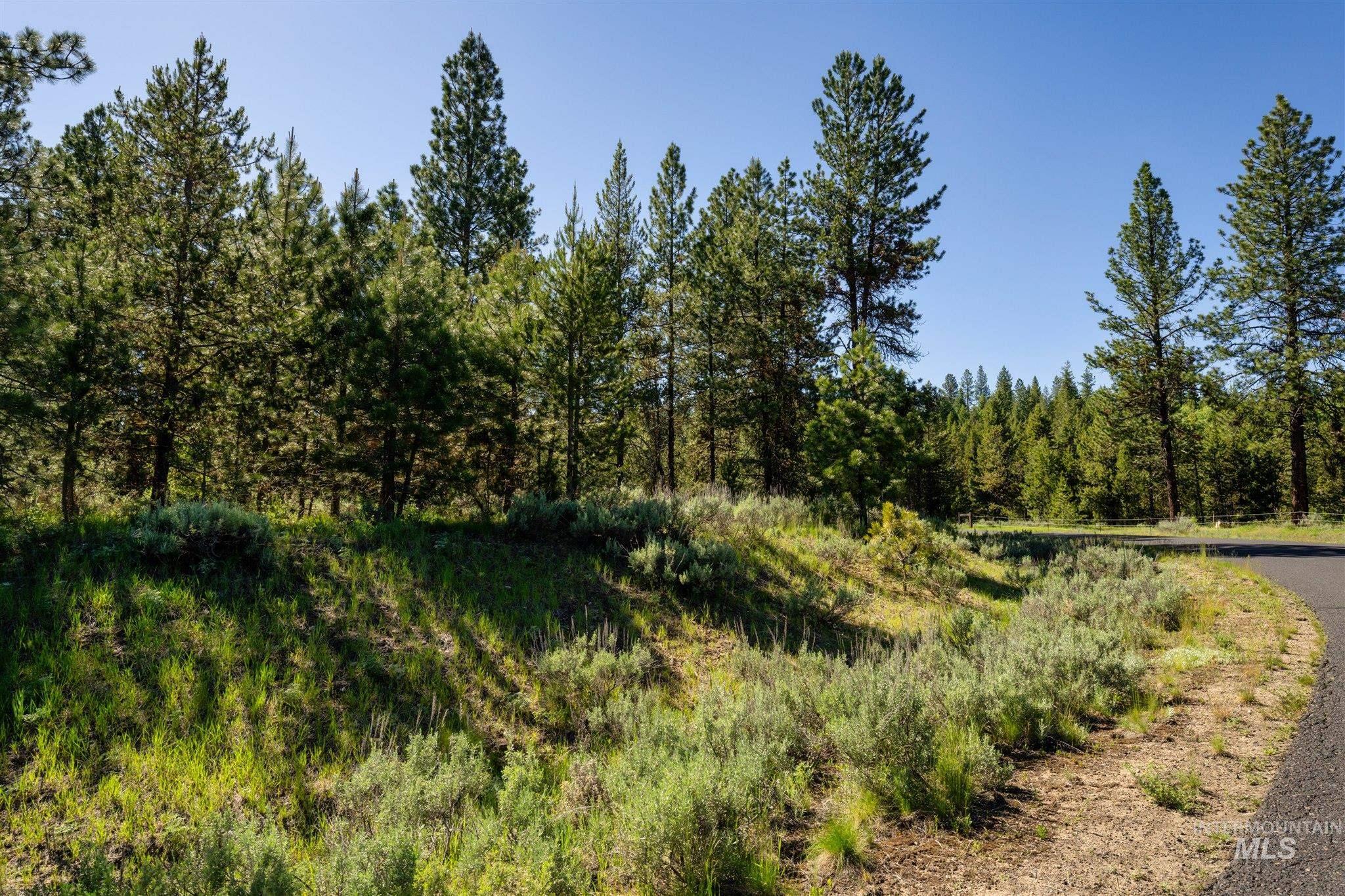 110 Fawnlilly Dr, McCall, Idaho 83638, Land For Sale, Price $170,000,MLS 98968487