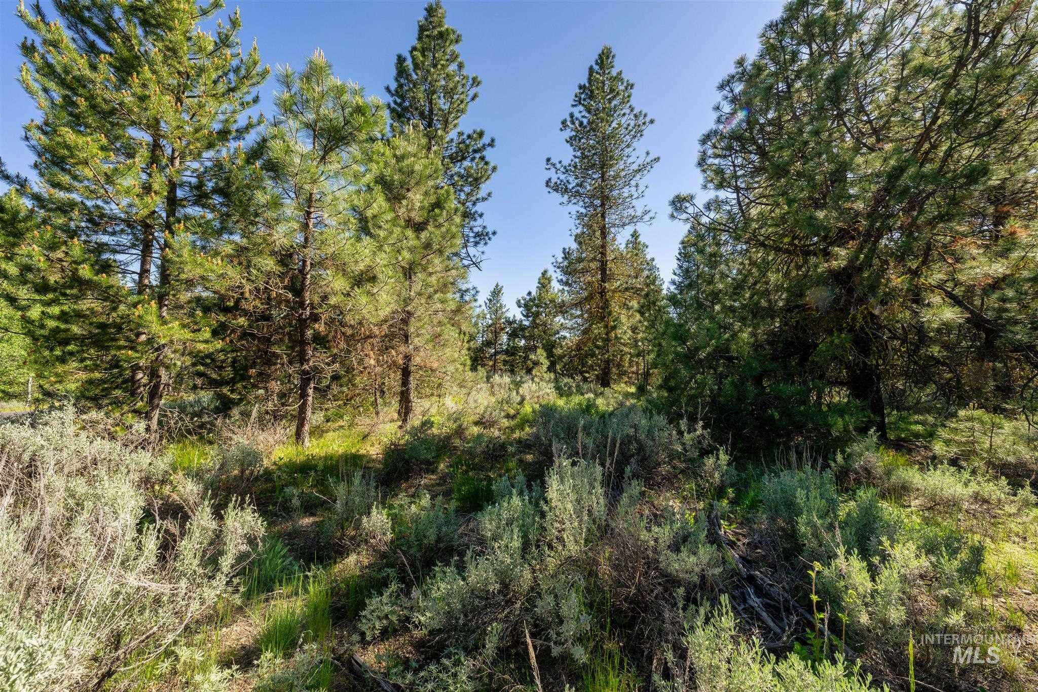 110 Fawnlilly Dr, McCall, Idaho 83638, Land For Sale, Price $170,000,MLS 98968487