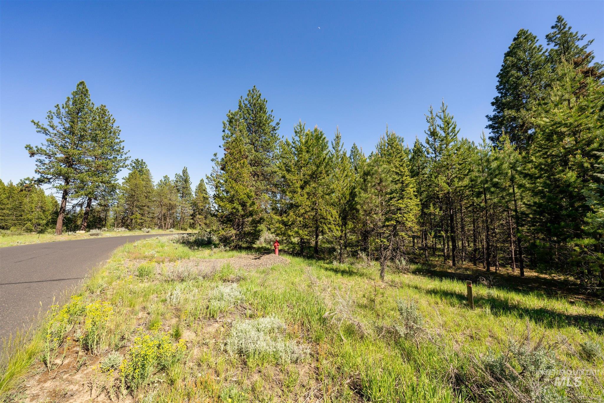 110 Fawnlilly Dr, McCall, Idaho 83638, Land For Sale, Price $170,000,MLS 98968487