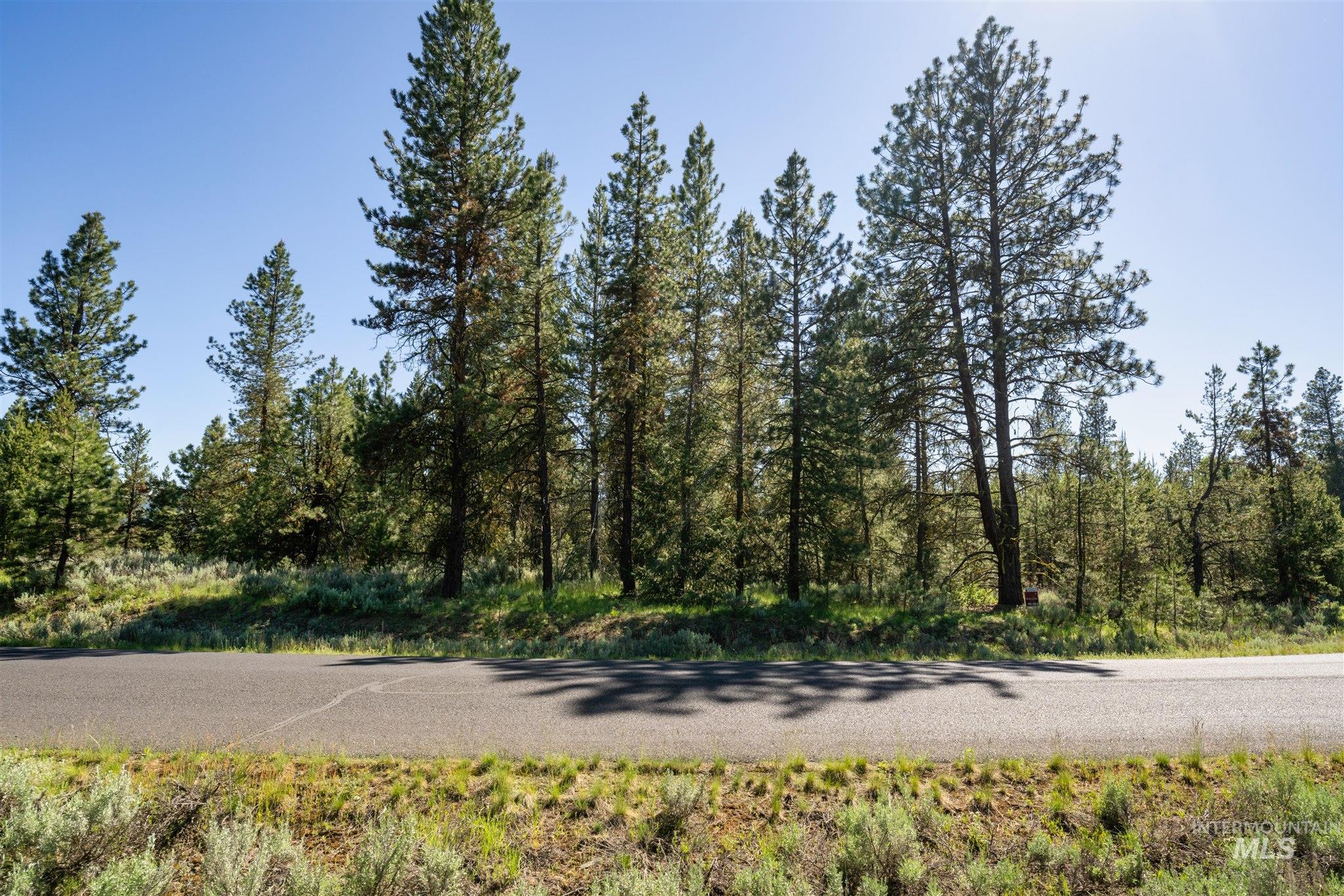 110 Fawnlilly Dr, McCall, Idaho 83638, Land For Sale, Price $170,000,MLS 98968487