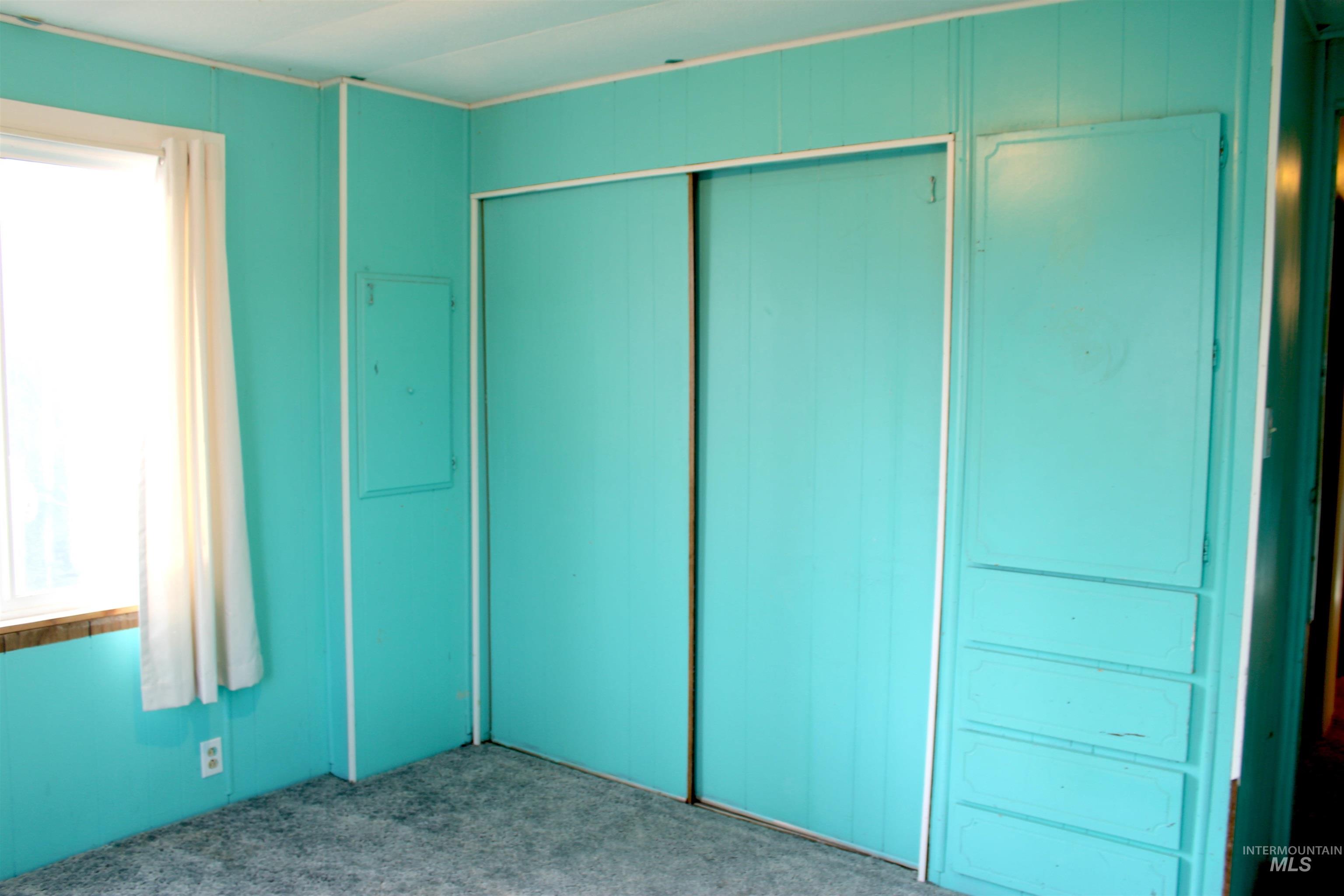 Unfurnished bedroom featuring carpet, multiple windows, and a closet