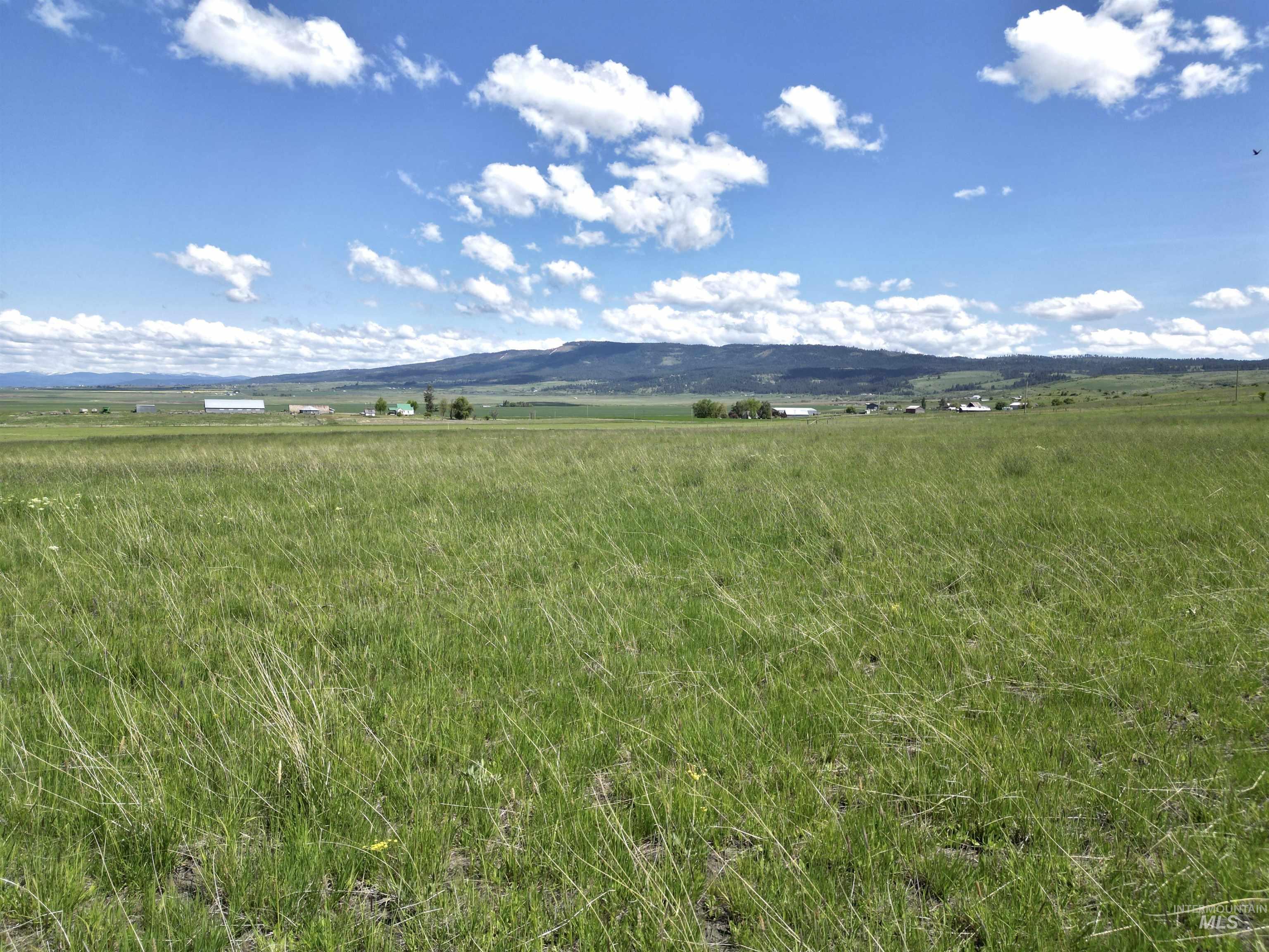 TBD Gill Point Road LOT 4, Grangeville, Idaho 83530, Land For Sale, Price $131,000,MLS 98968644