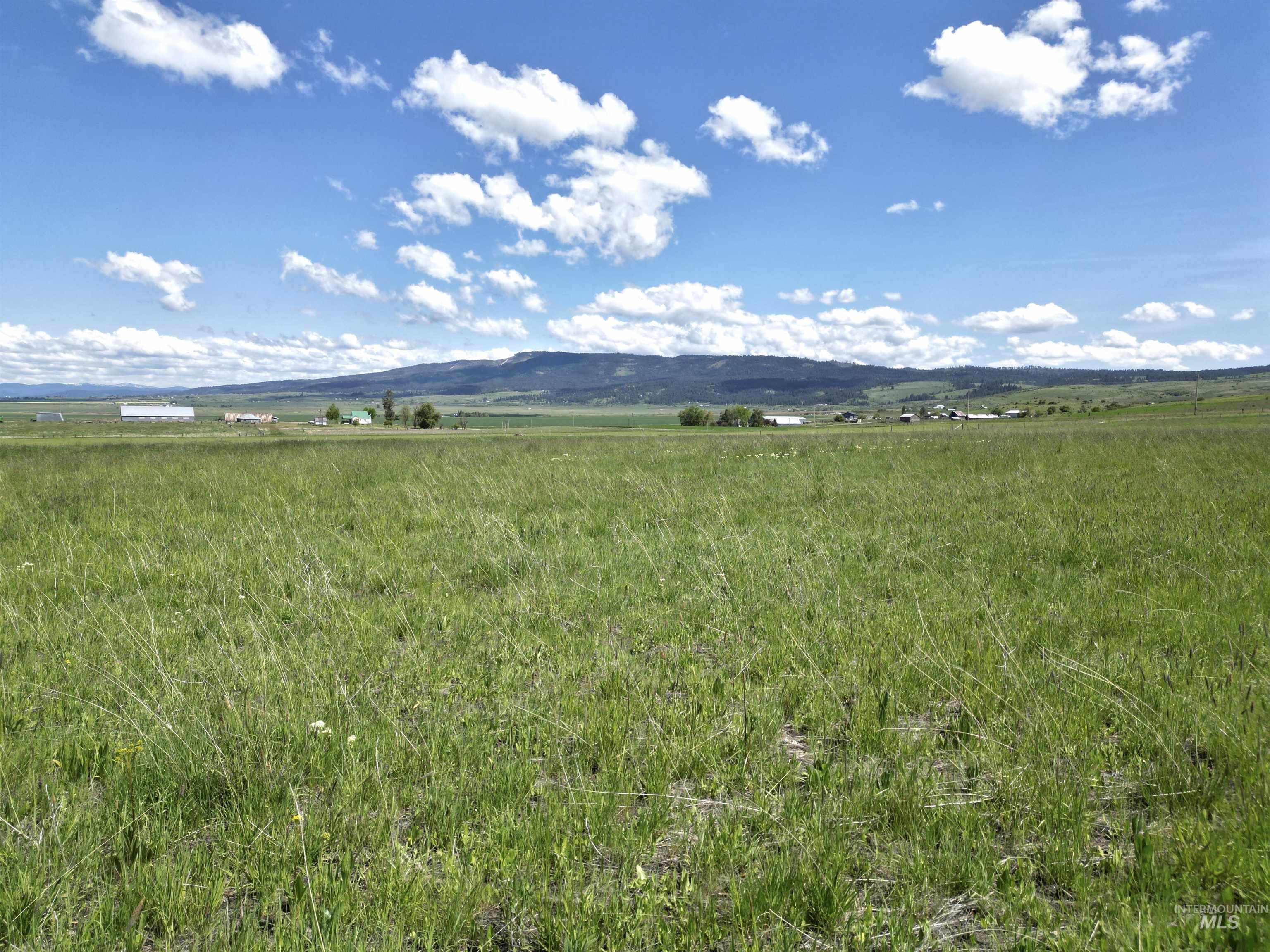 TBD Gill Point Road LOT 4, Grangeville, Idaho 83530, Land For Sale, Price $131,000,MLS 98968644
