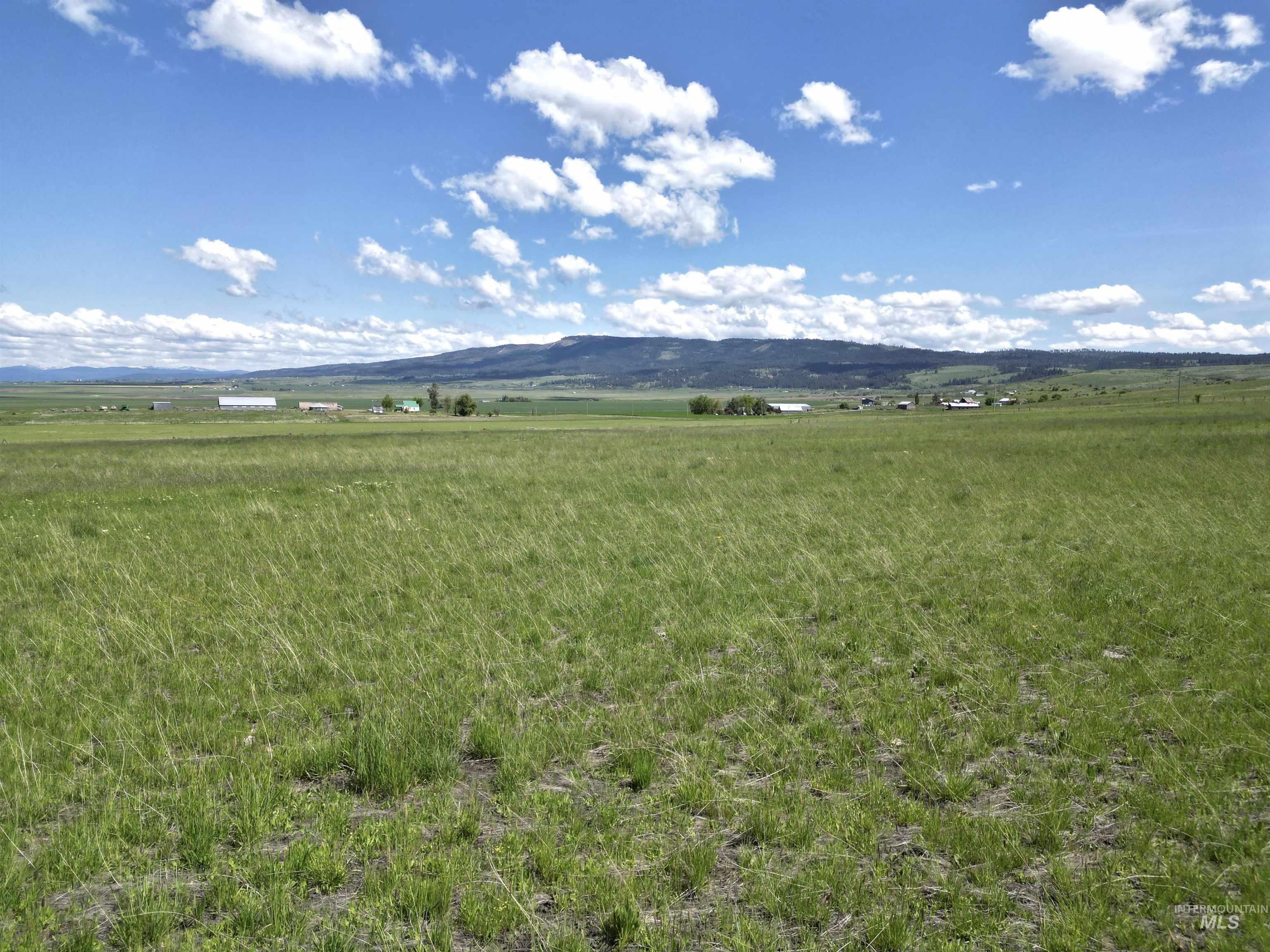 TBD Gill Point Road LOT 4, Grangeville, Idaho 83530, Land For Sale, Price $131,000,MLS 98968644