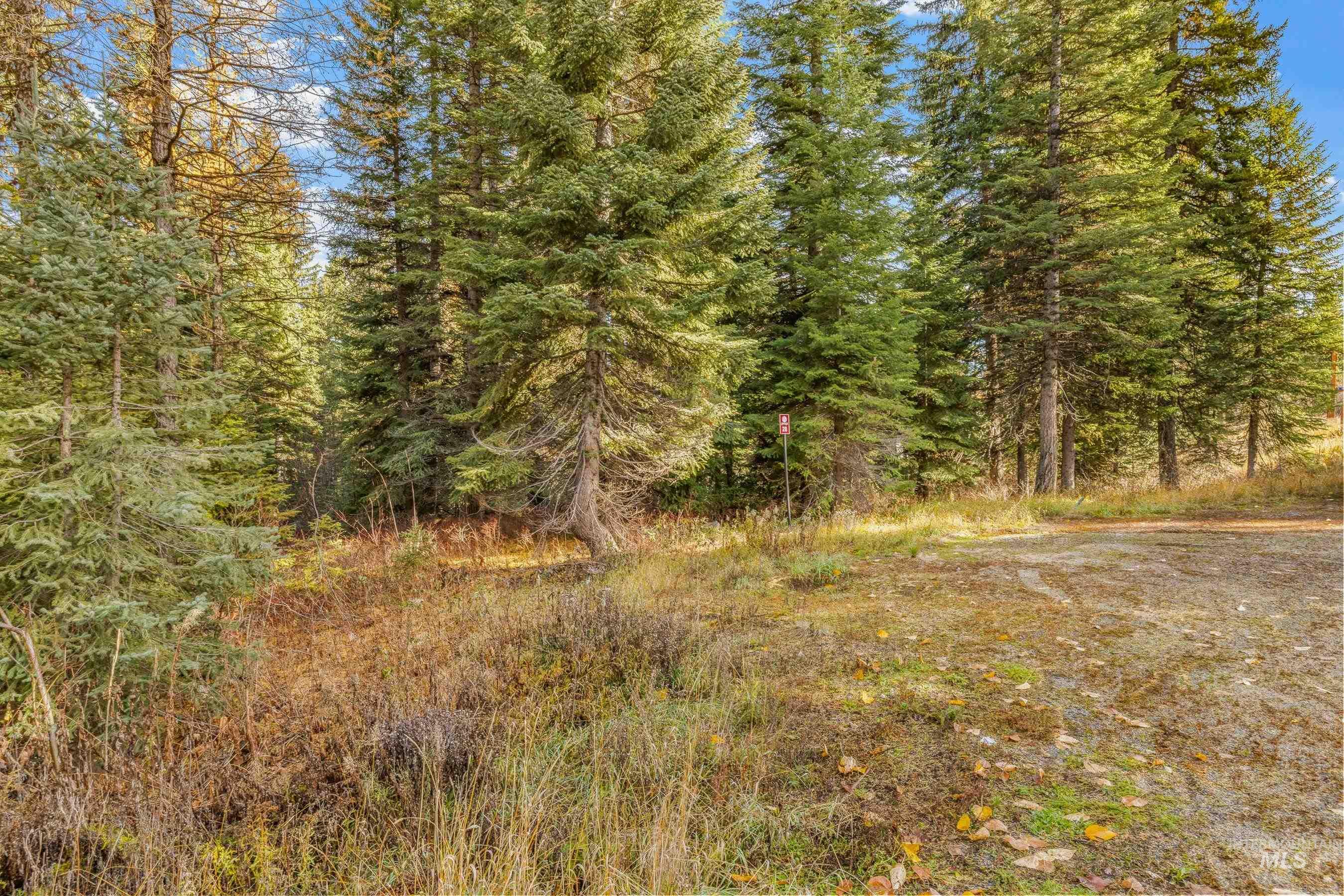 150 Pinnacle, Donnelly, Idaho 83615, Land For Sale, Price $479,000,MLS 98968721