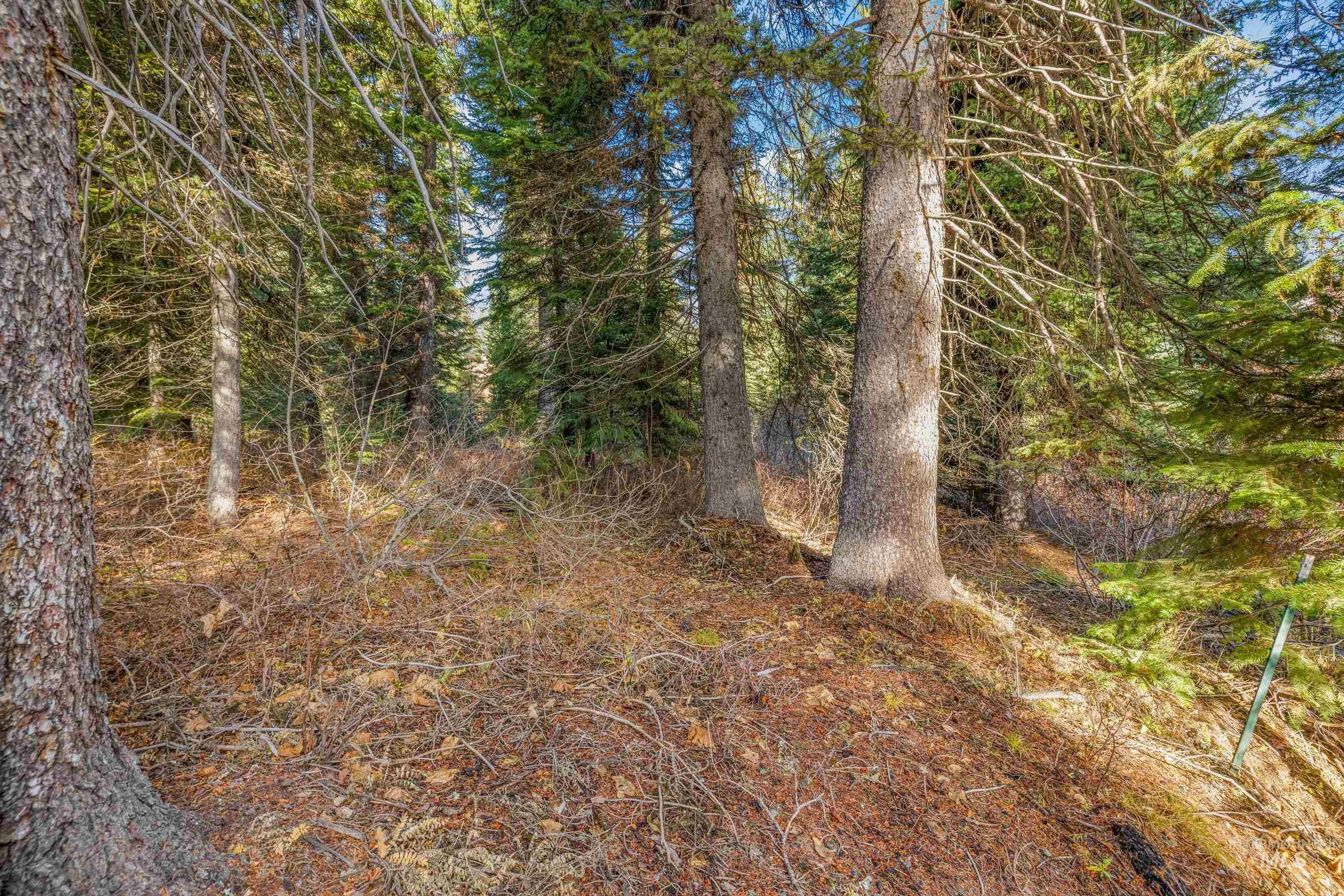 150 Pinnacle, Donnelly, Idaho 83615, Land For Sale, Price $479,000,MLS 98968721
