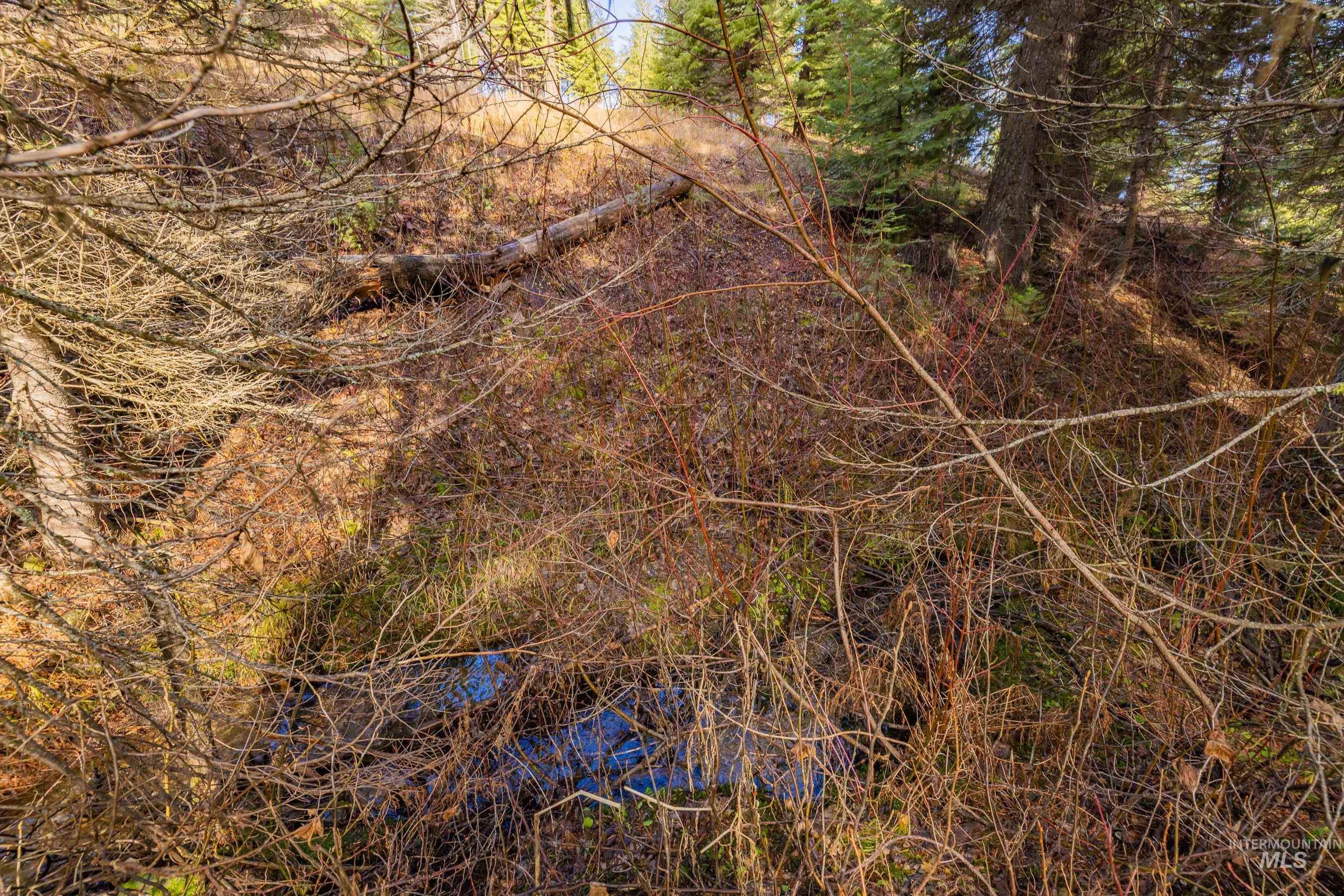 150 Pinnacle, Donnelly, Idaho 83615, Land For Sale, Price $479,000,MLS 98968721