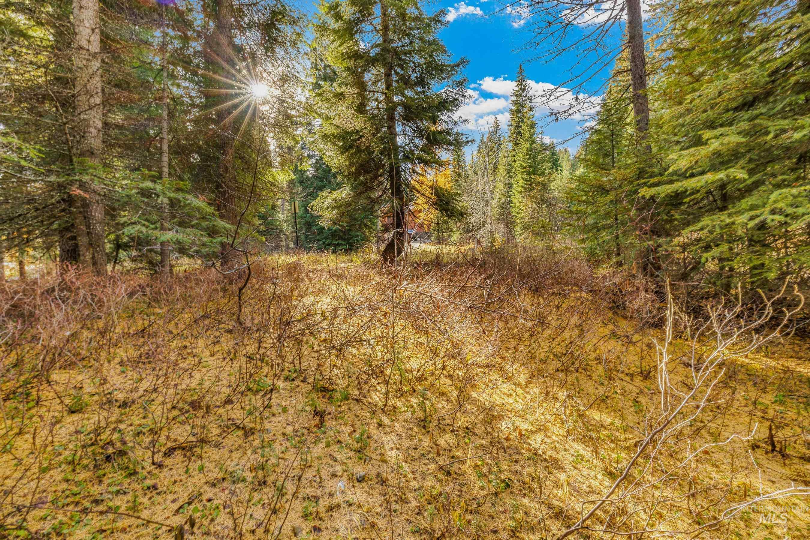 150 Pinnacle, Donnelly, Idaho 83615, Land For Sale, Price $479,000,MLS 98968721