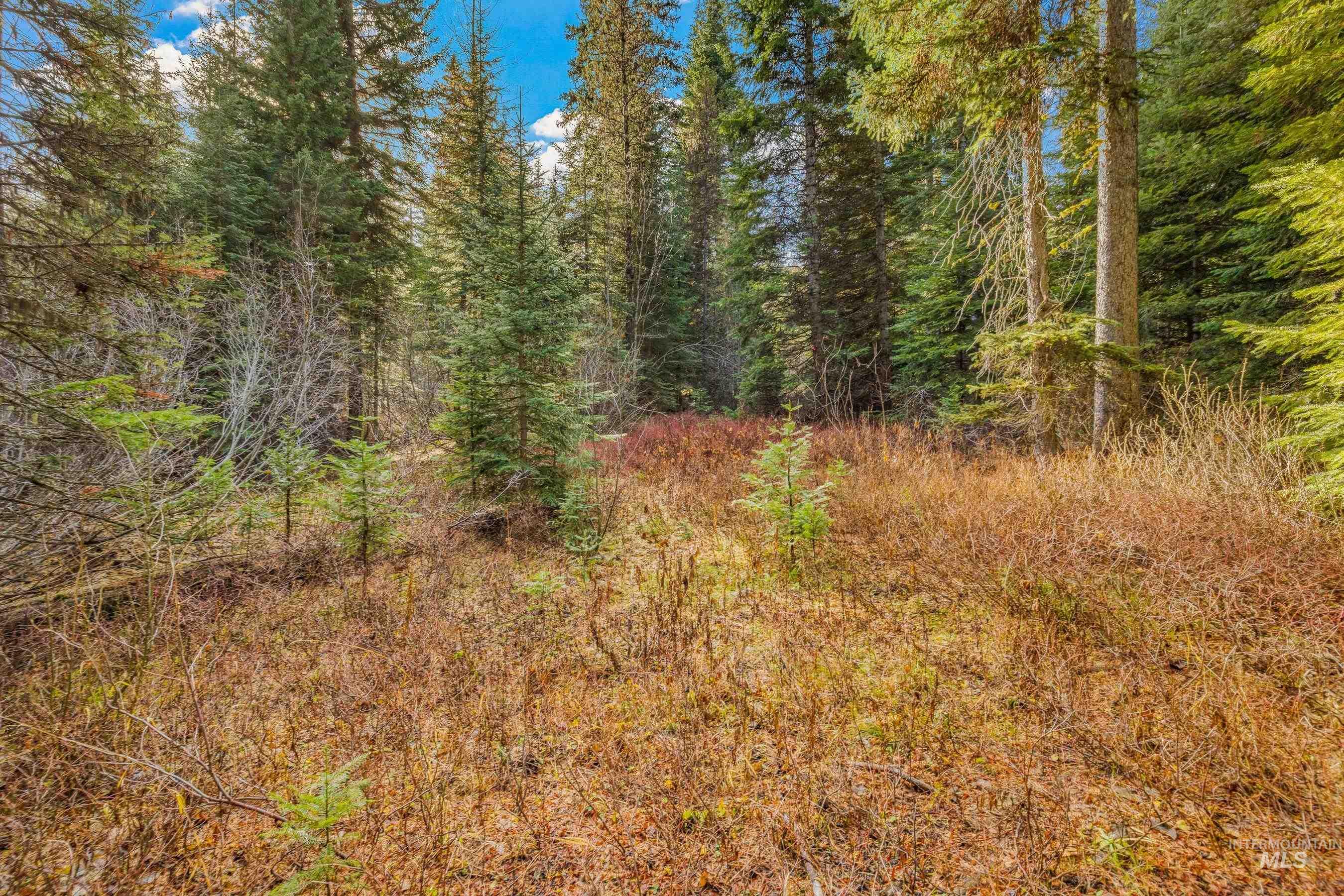 150 Pinnacle, Donnelly, Idaho 83615, Land For Sale, Price $479,000,MLS 98968721