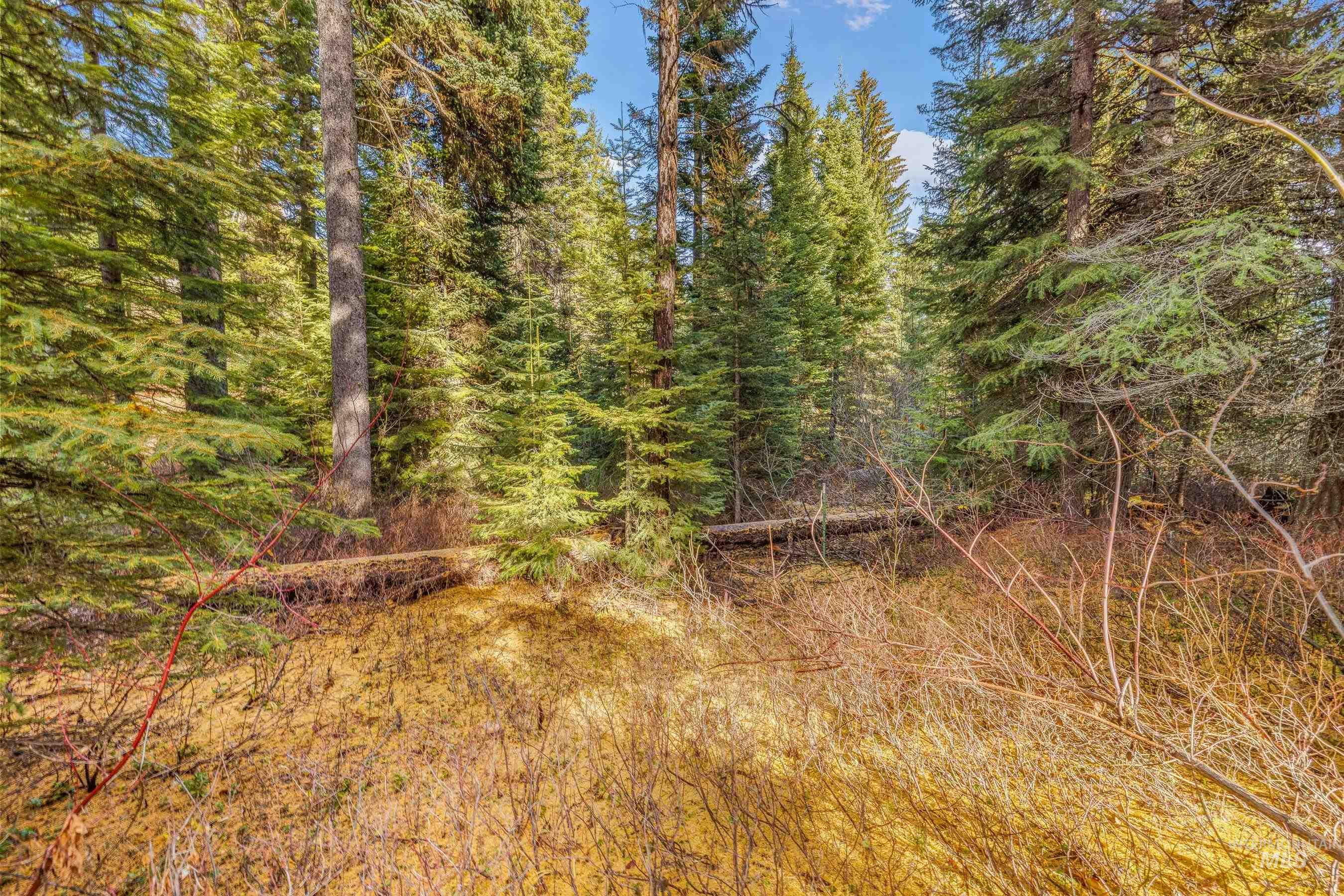 150 Pinnacle, Donnelly, Idaho 83615, Land For Sale, Price $479,000,MLS 98968721