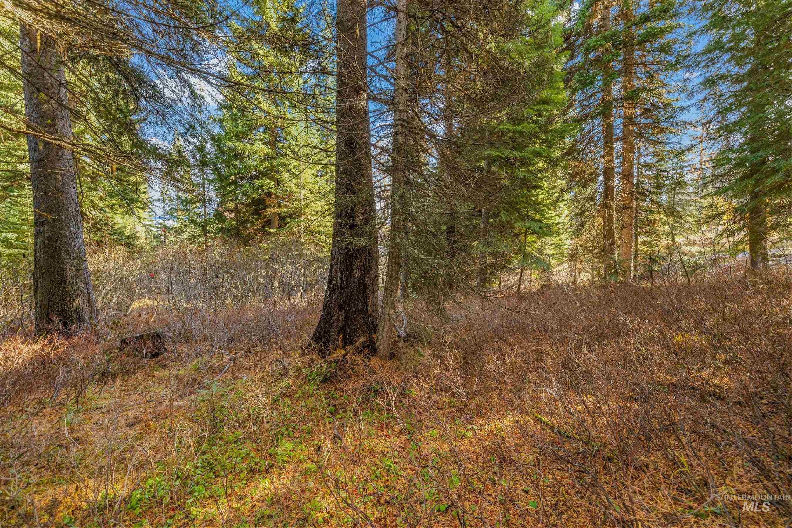 150 Pinnacle, Donnelly, Idaho 83615, Land For Sale, Price $479,000,MLS 98968721