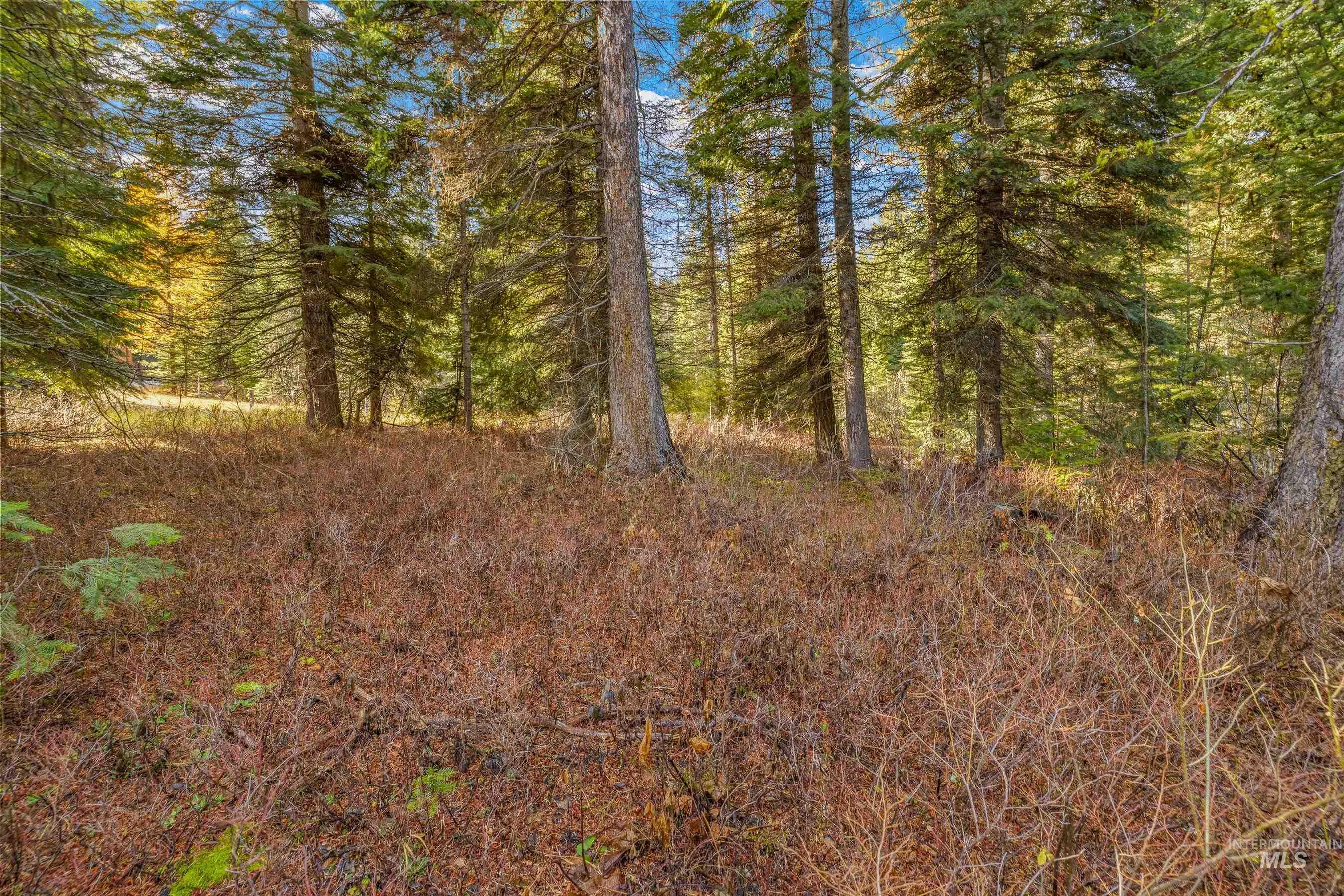 150 Pinnacle, Donnelly, Idaho 83615, Land For Sale, Price $479,000,MLS 98968721