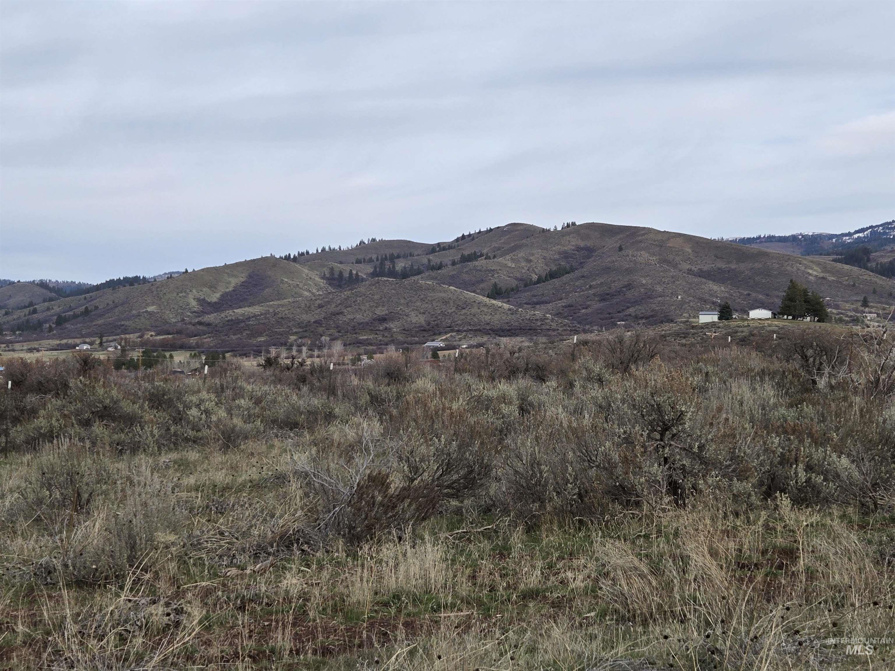 TBD US Highway 95, Council, Idaho 83612, Land For Sale, Price $179,000,MLS 98968723